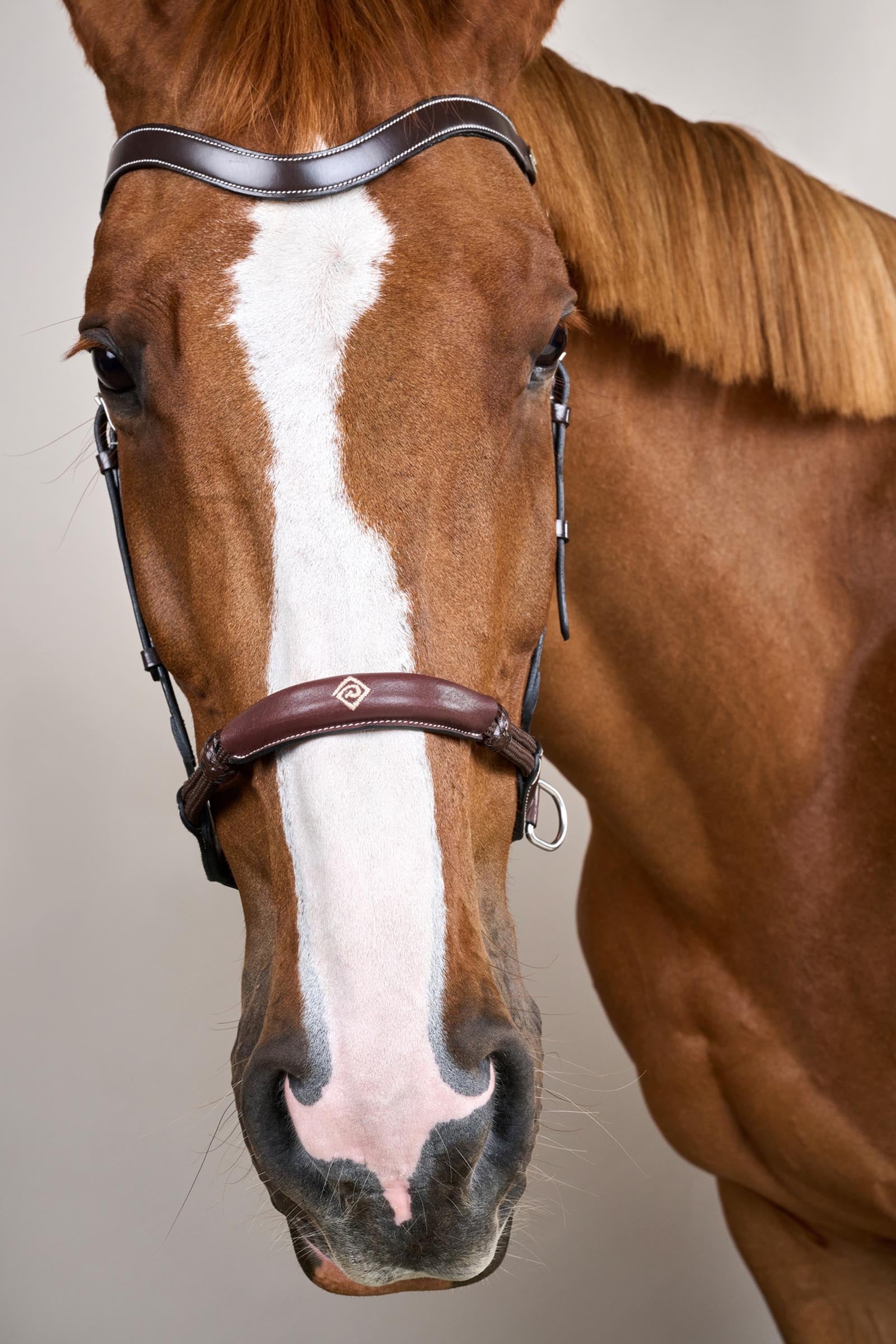 Dy'on Working Bitless Bridle Bridles & Reins