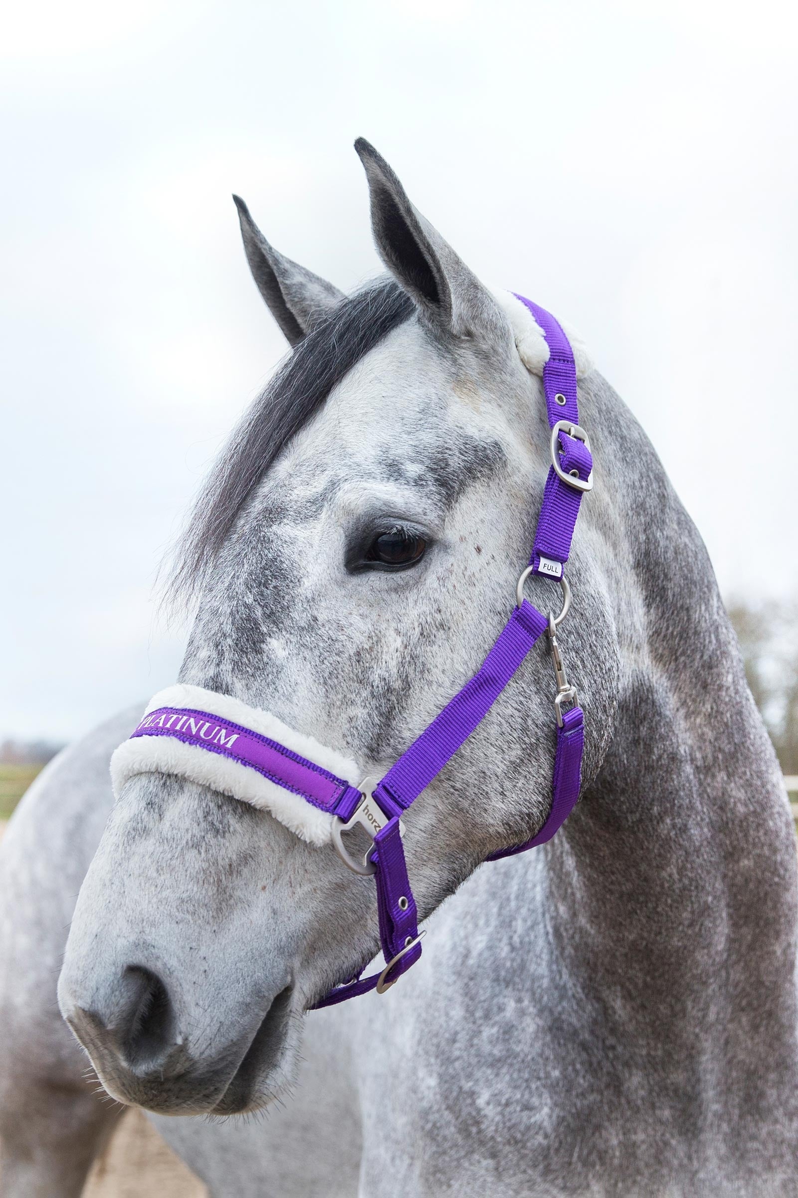 Horze Howard Halter Halters & Leads