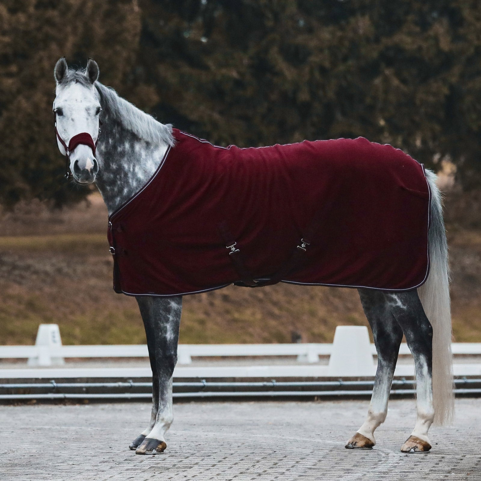 Horze Kiel Halter with Fleece Halters & Leads