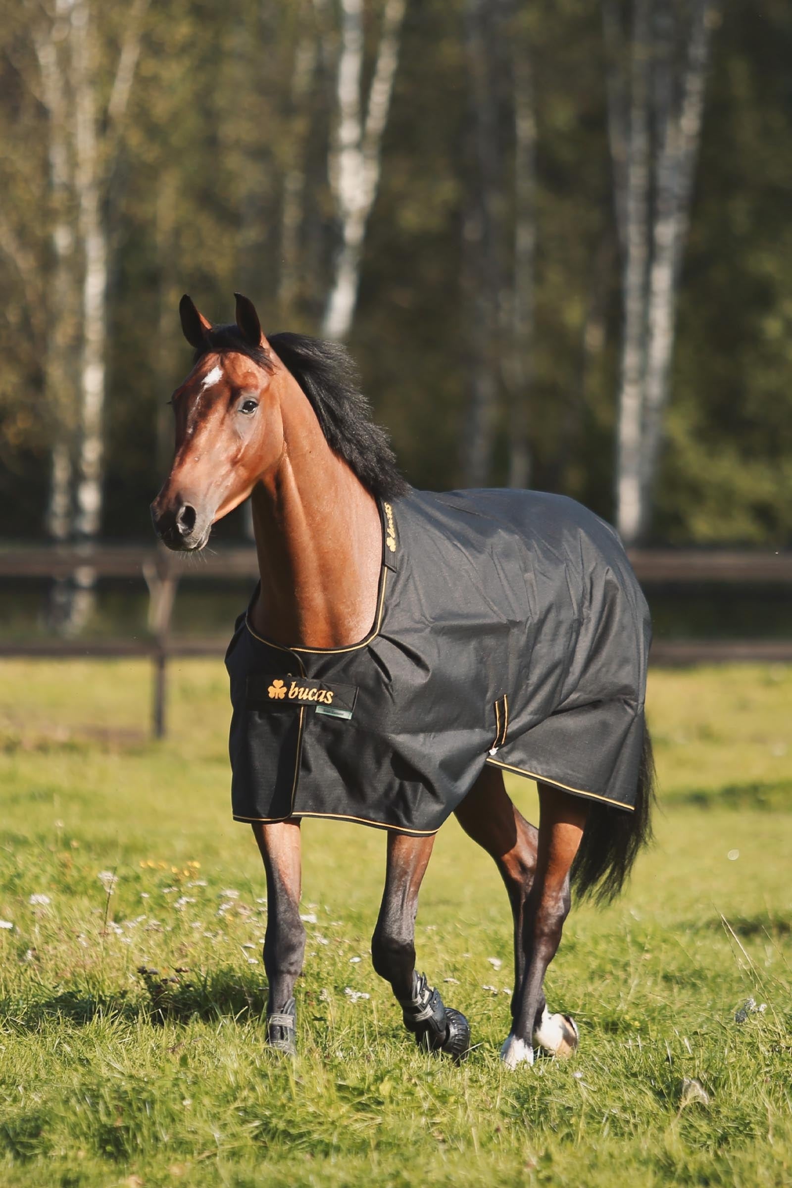 Bucas Irish Turnout Rug, 50g Horse Rugs