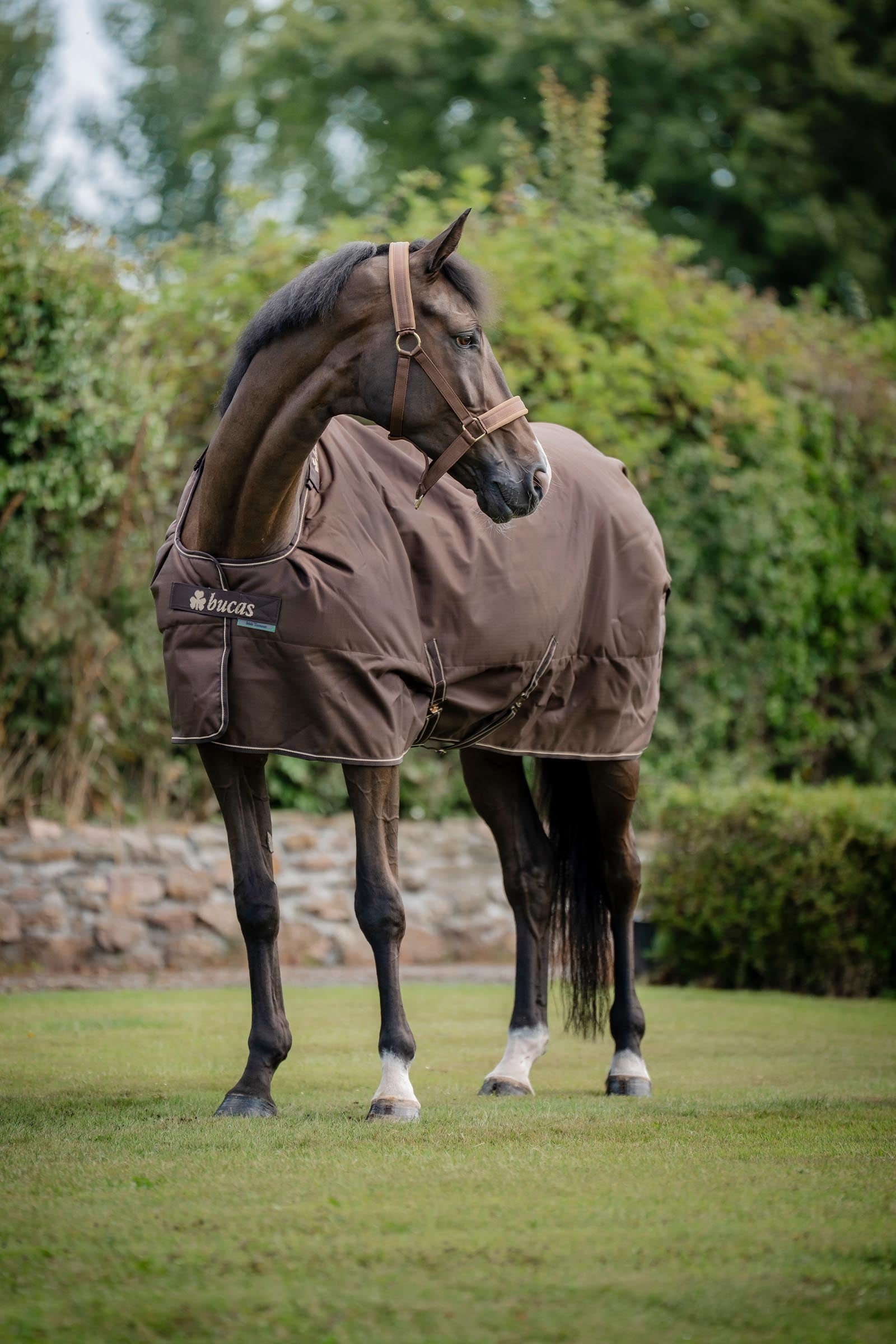 Bucas Irish Turnout Rug, 50g Horse Rugs