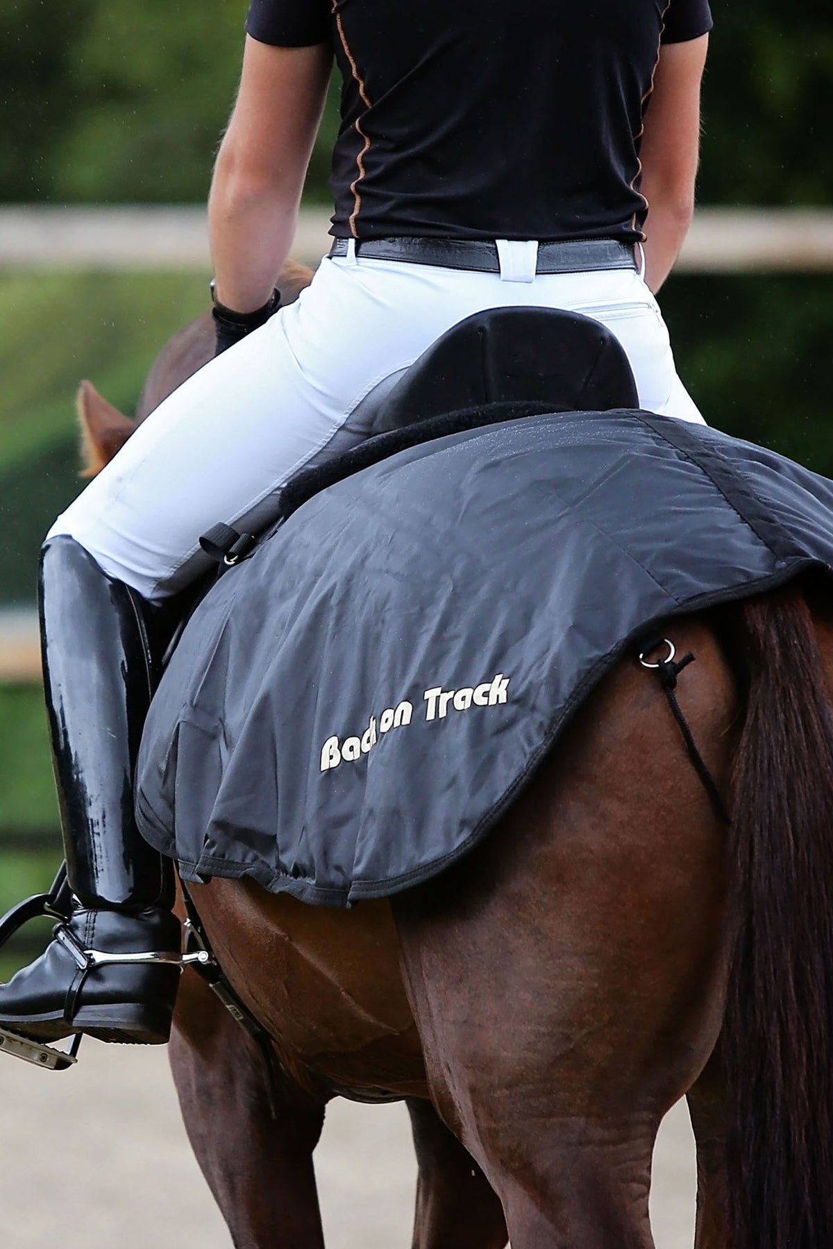 Back on Track Exercise Sheet Horse Rugs