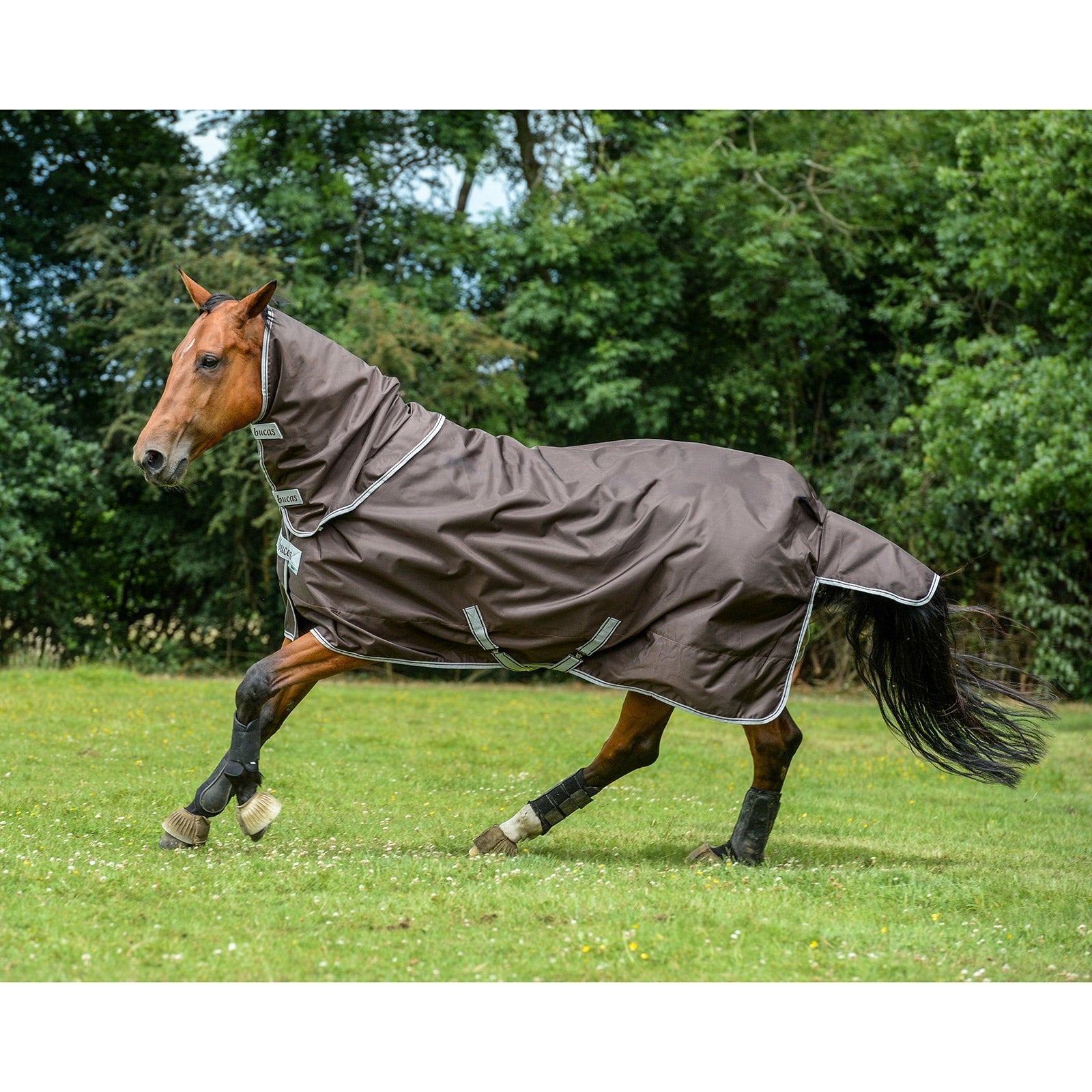 Bucas Smartex Neck, 0 g Horse Rugs