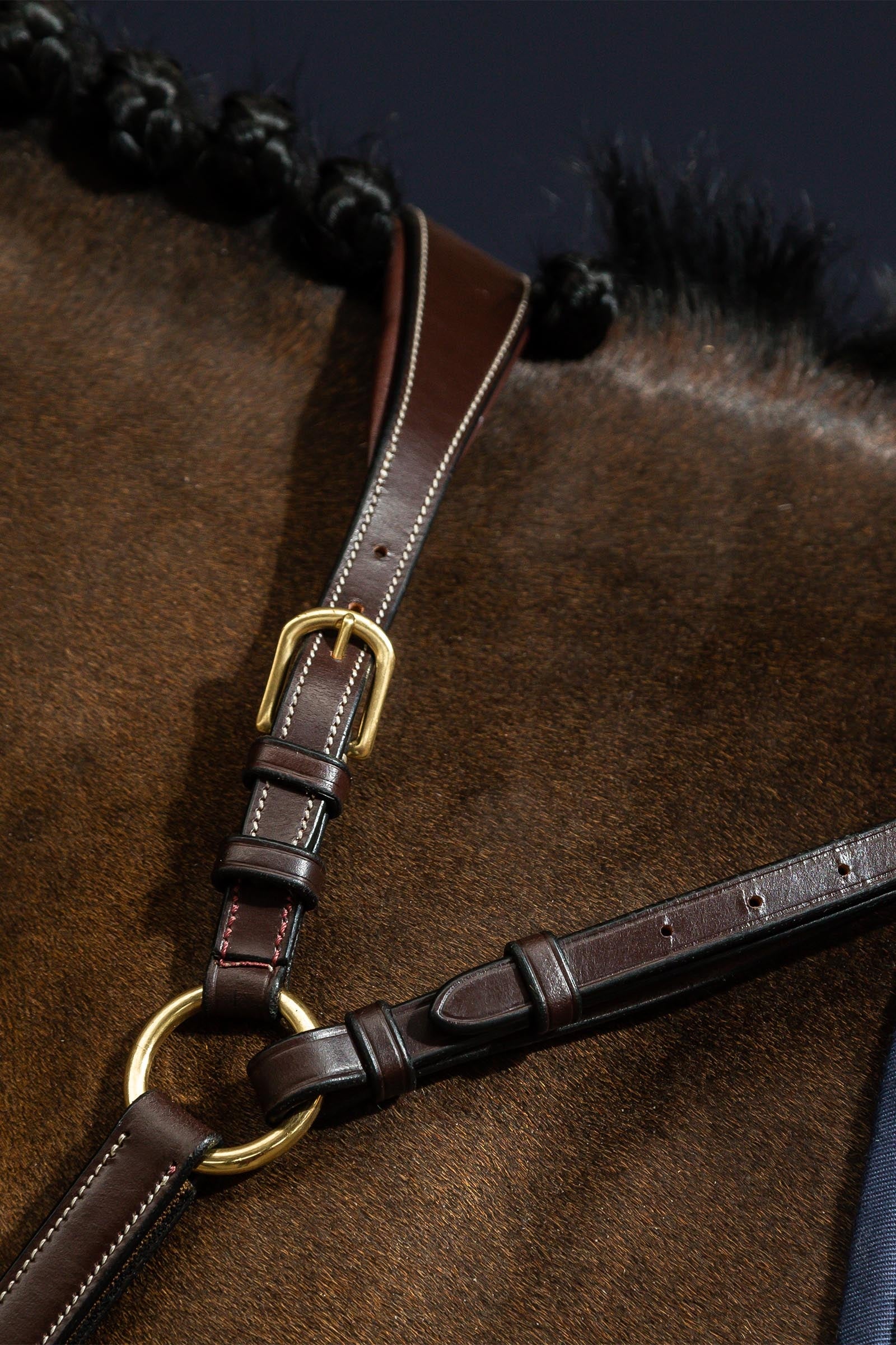 Dy'on D Collection Bridge Breastplate Bridles & Reins