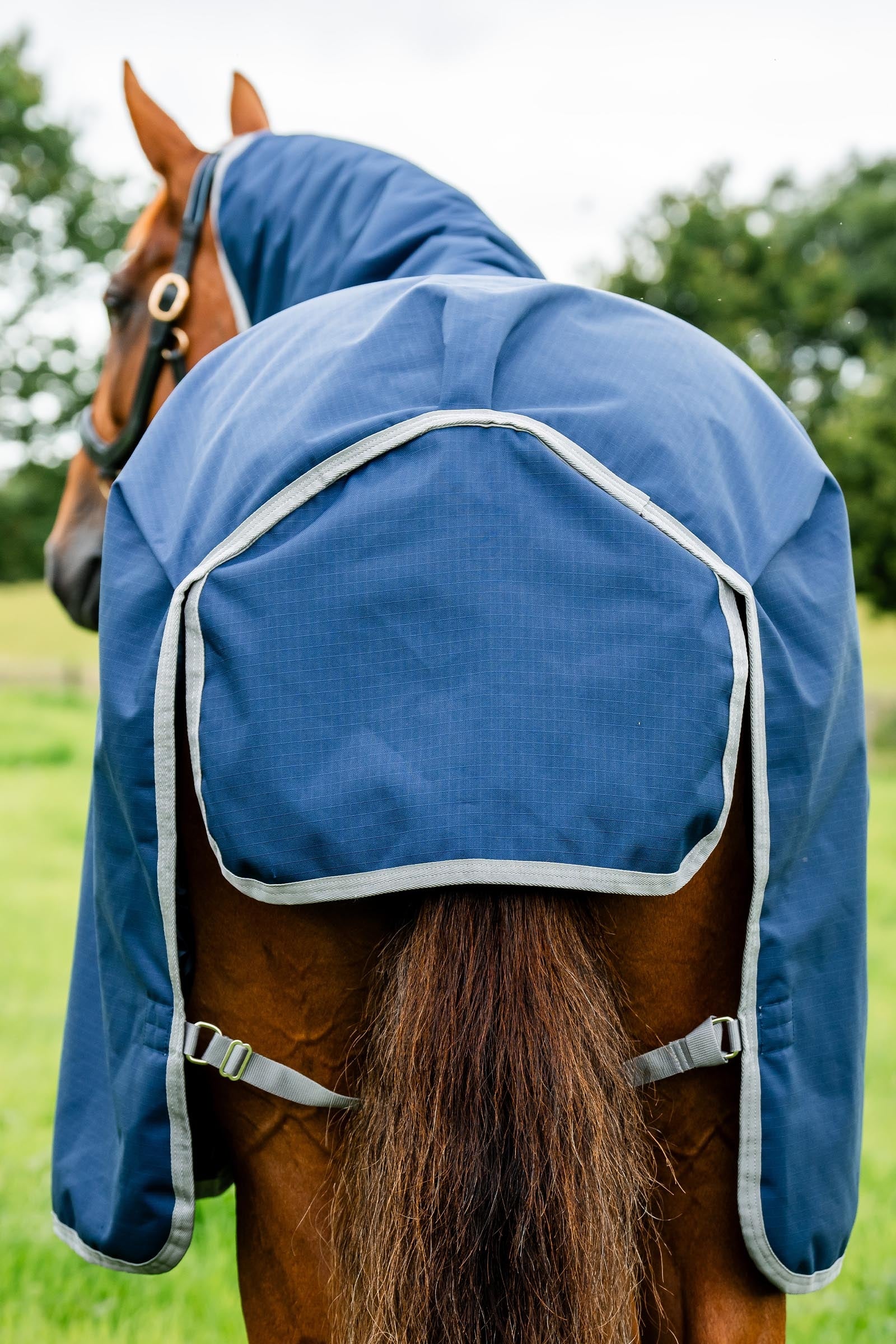 Horseware Amigo Ripstop 900D Plus Turnout Rug With Detachable Neck, 0 g Horse Rugs