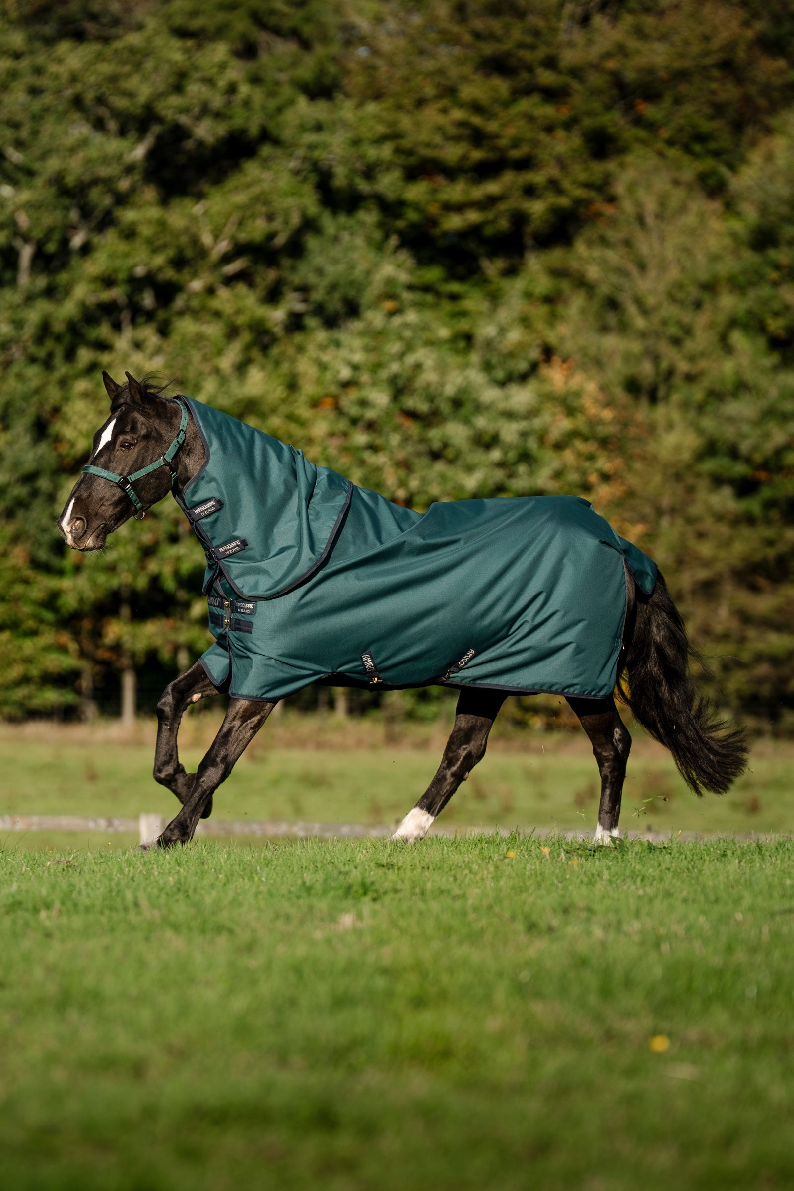 Horseware Amigo Ripstop 900D Plus Turnout Rug With Detachable Neck, 0 g Horse Rugs