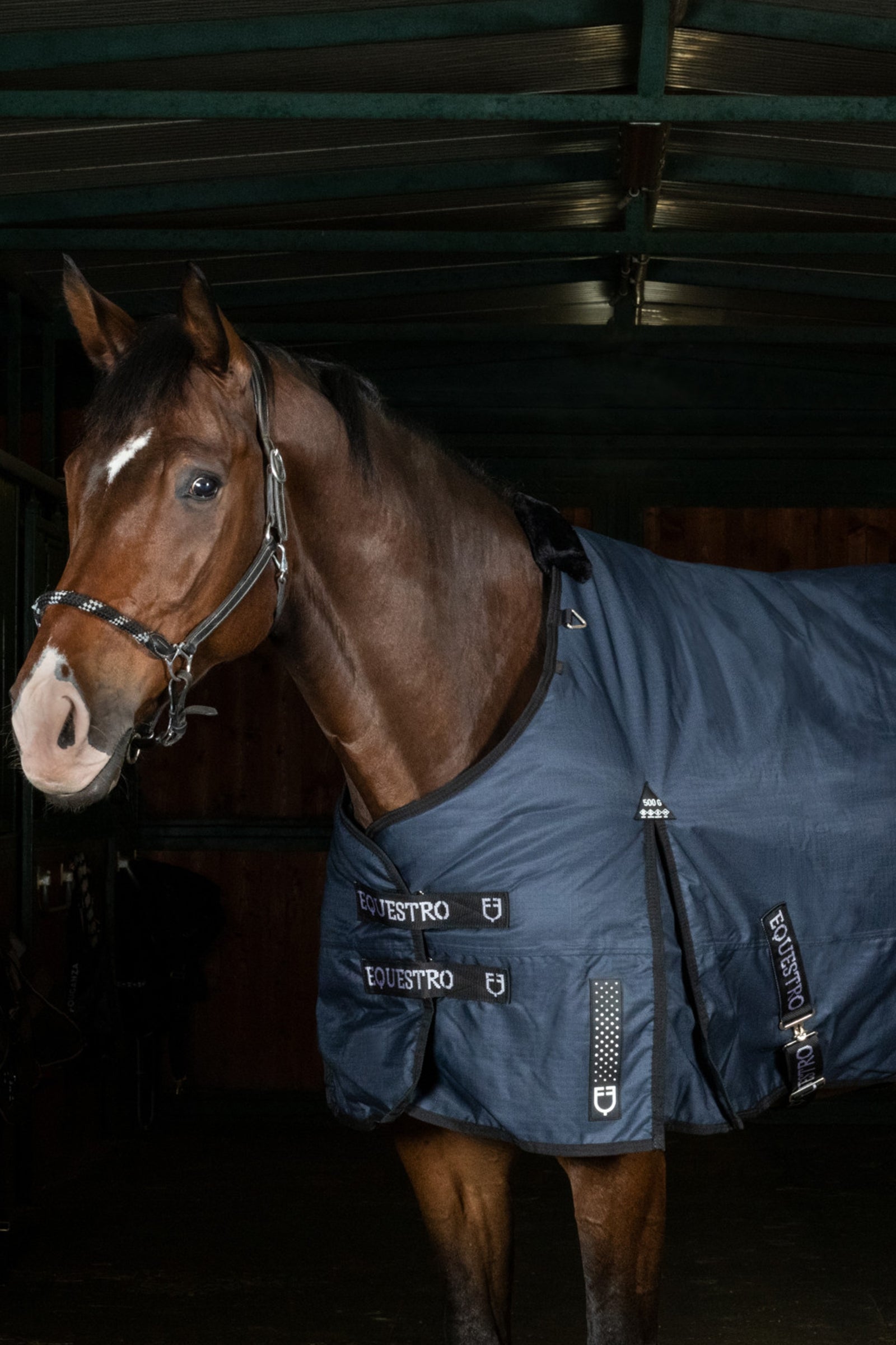 Equestro Alberta Turnout Rug in Rip-stop Fabric, 500g Horse Rugs