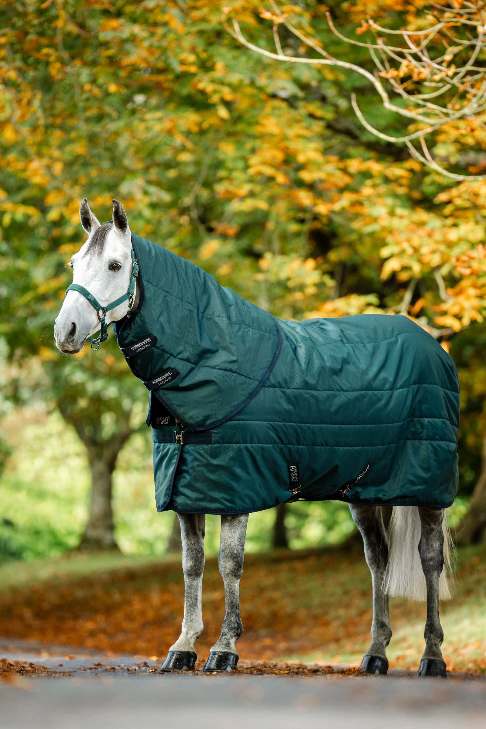 Horseware Amigo Ripstop Insulator Stable Rug, 100 g Horse Rugs