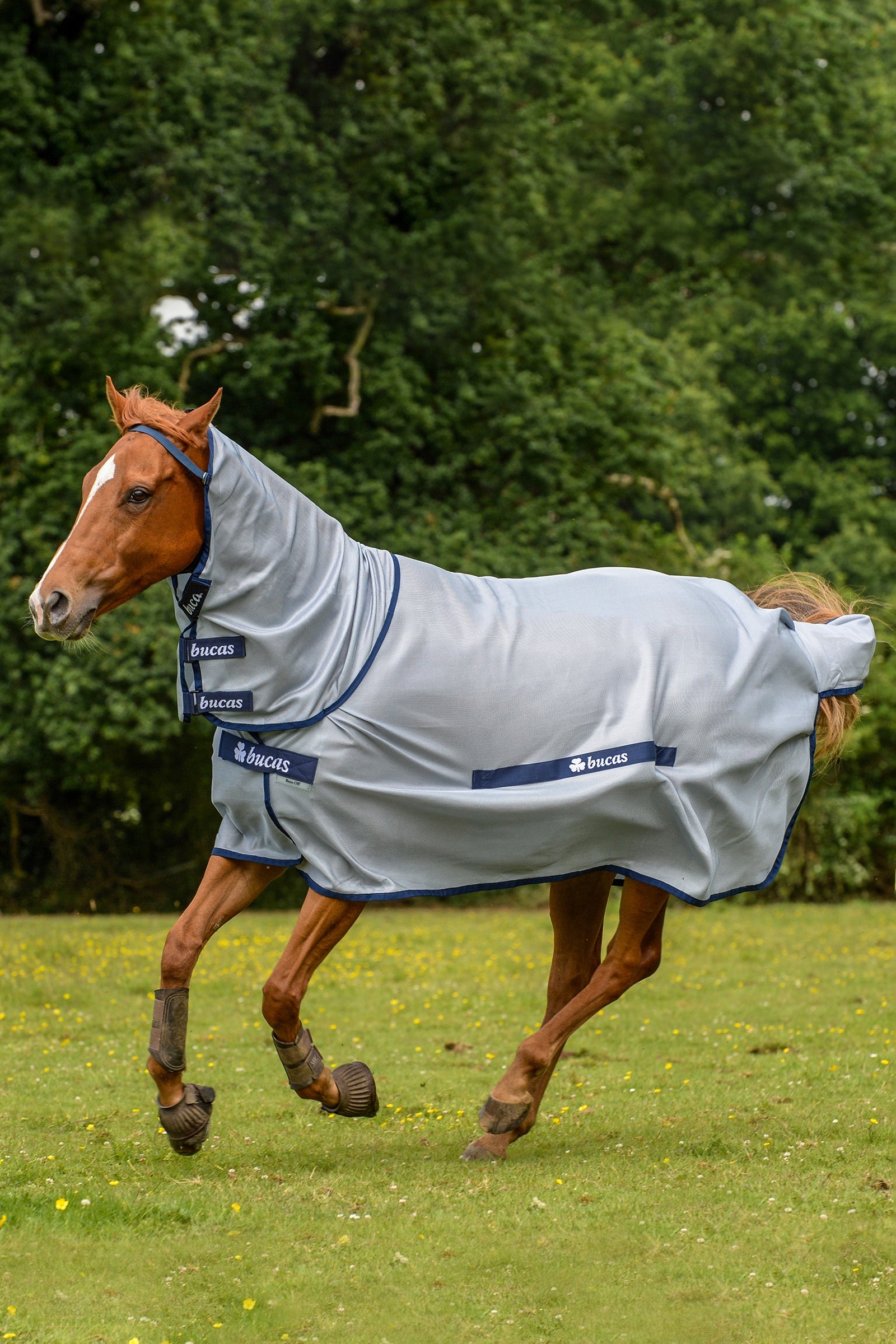Bucas Buzz-Off Full Neck Fly Rug Pony with fixed Neck Horse Rugs