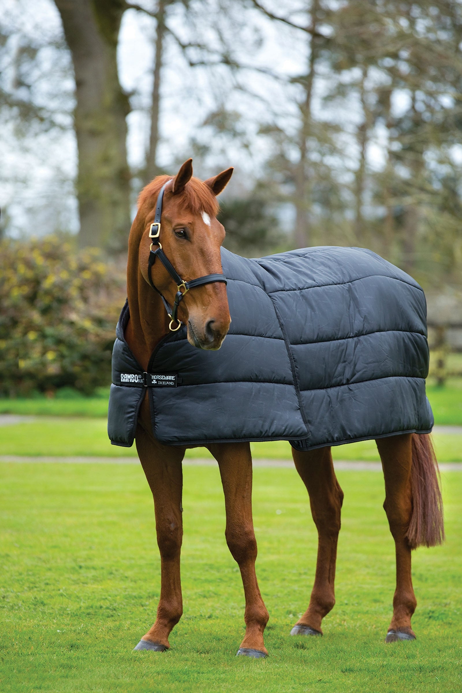 Horseware Rambo Optimo Under Rug, 200g Horse Rugs