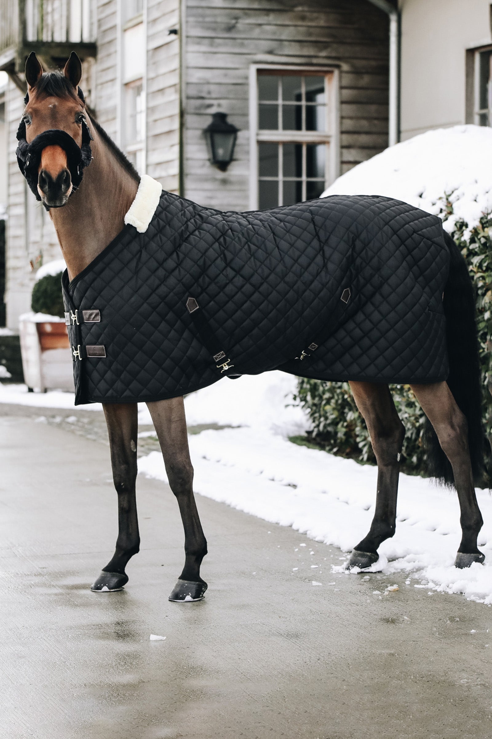Kentucky Horsewear Stable Rug, 400g Horse Rugs