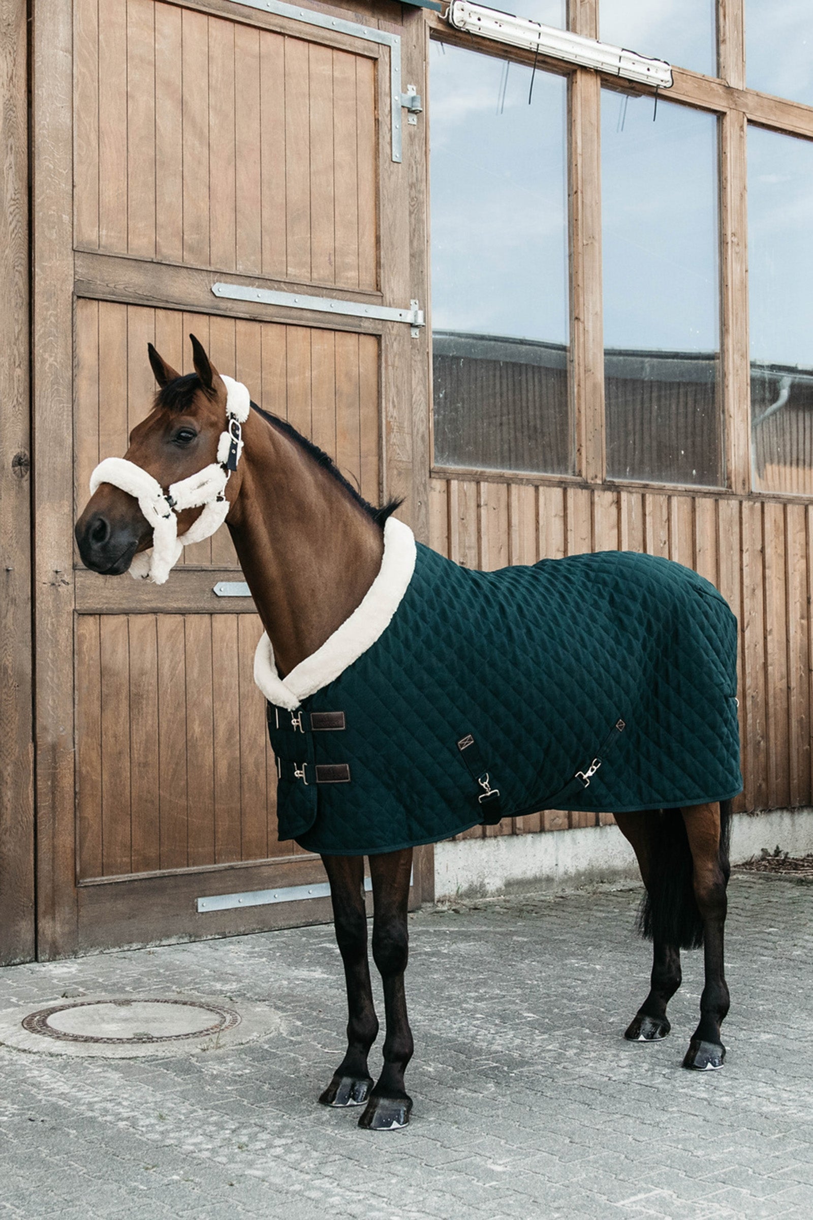Kentucky Horsewear Show rug 160g Horse Rugs