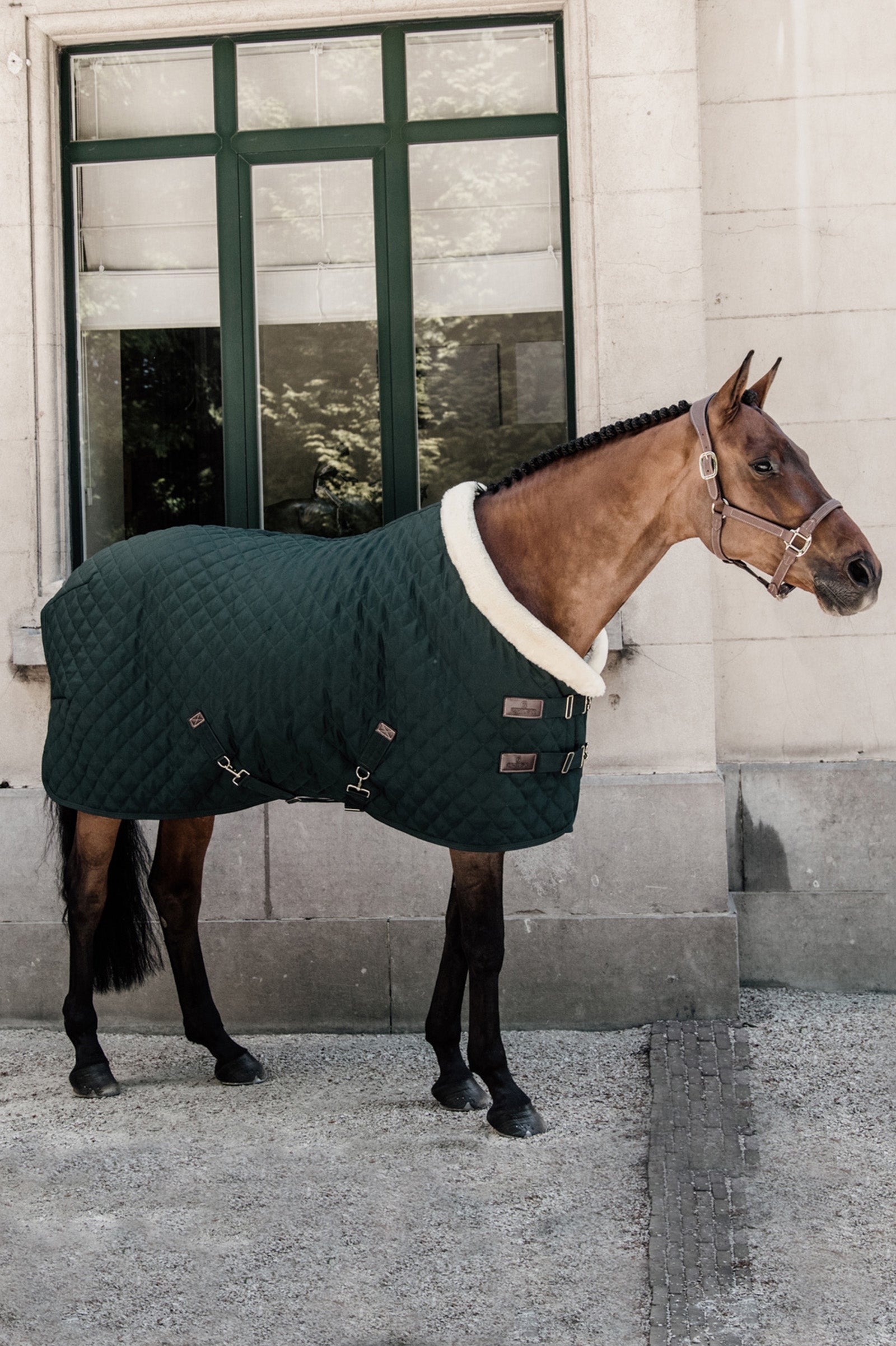 Kentucky Horsewear Show rug 160g Horse Rugs