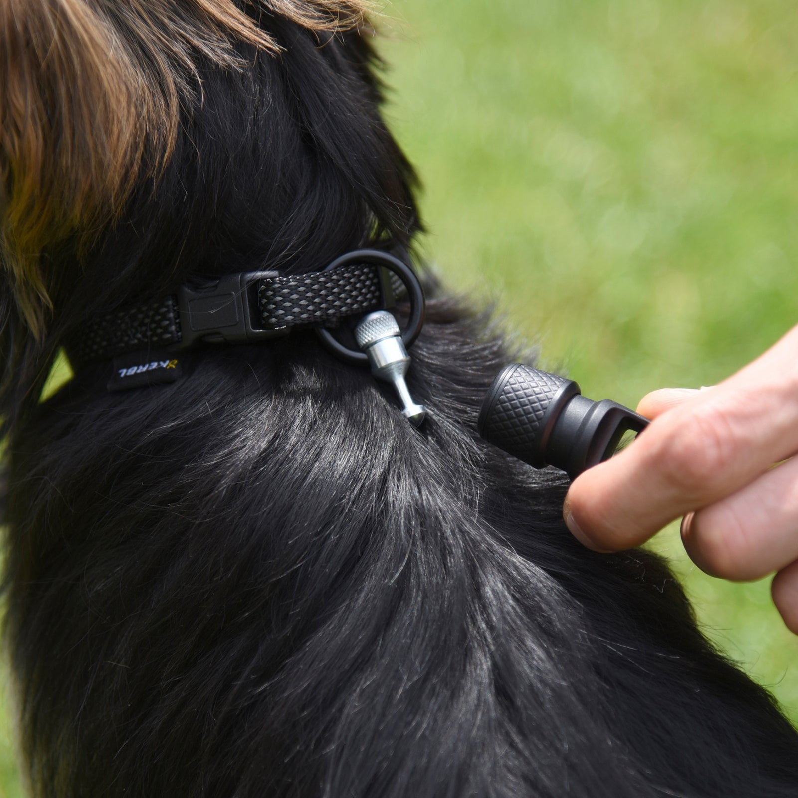 GoLeyGO GoLeyGo Dog Leash Flat w/ Adapter-Pin Dog Accesories