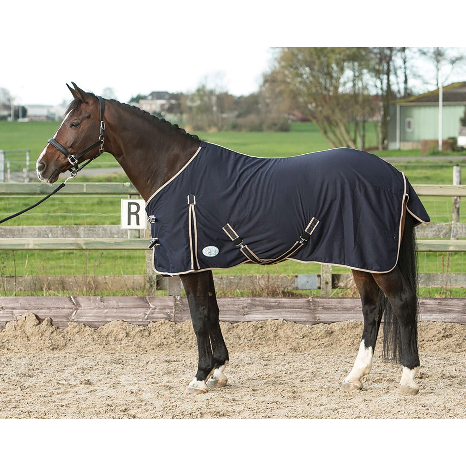 Harry's Horse Honeycomb Summer Rug Horse Rugs