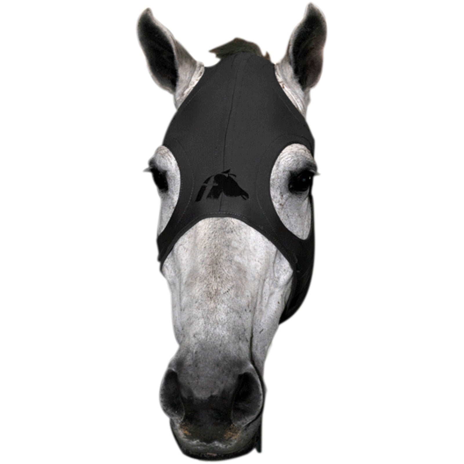 Fenwick Equestrian USA Fenwick Liquid Titanium Mask Racing Tack