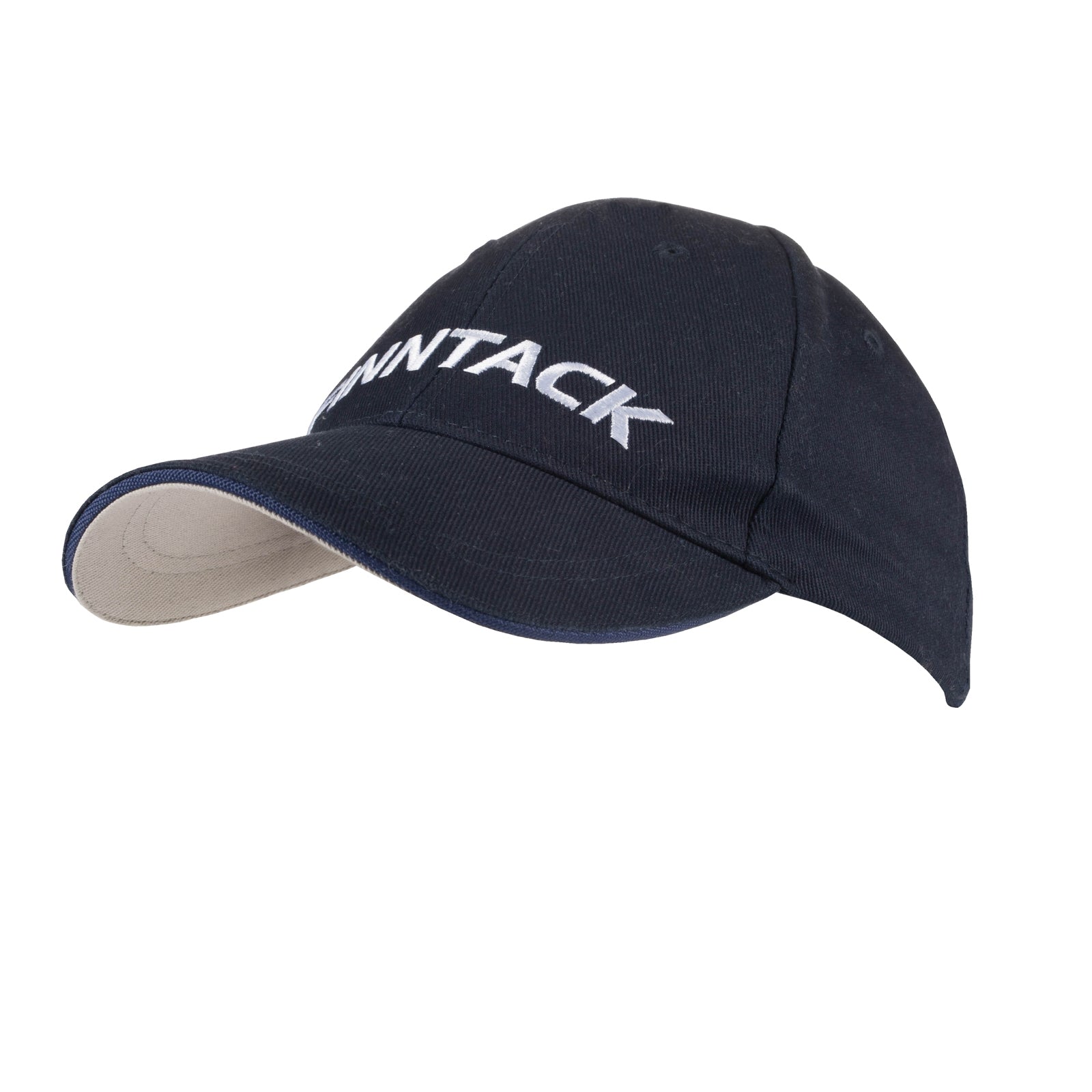 Alt Tag fallback text for IMAGE