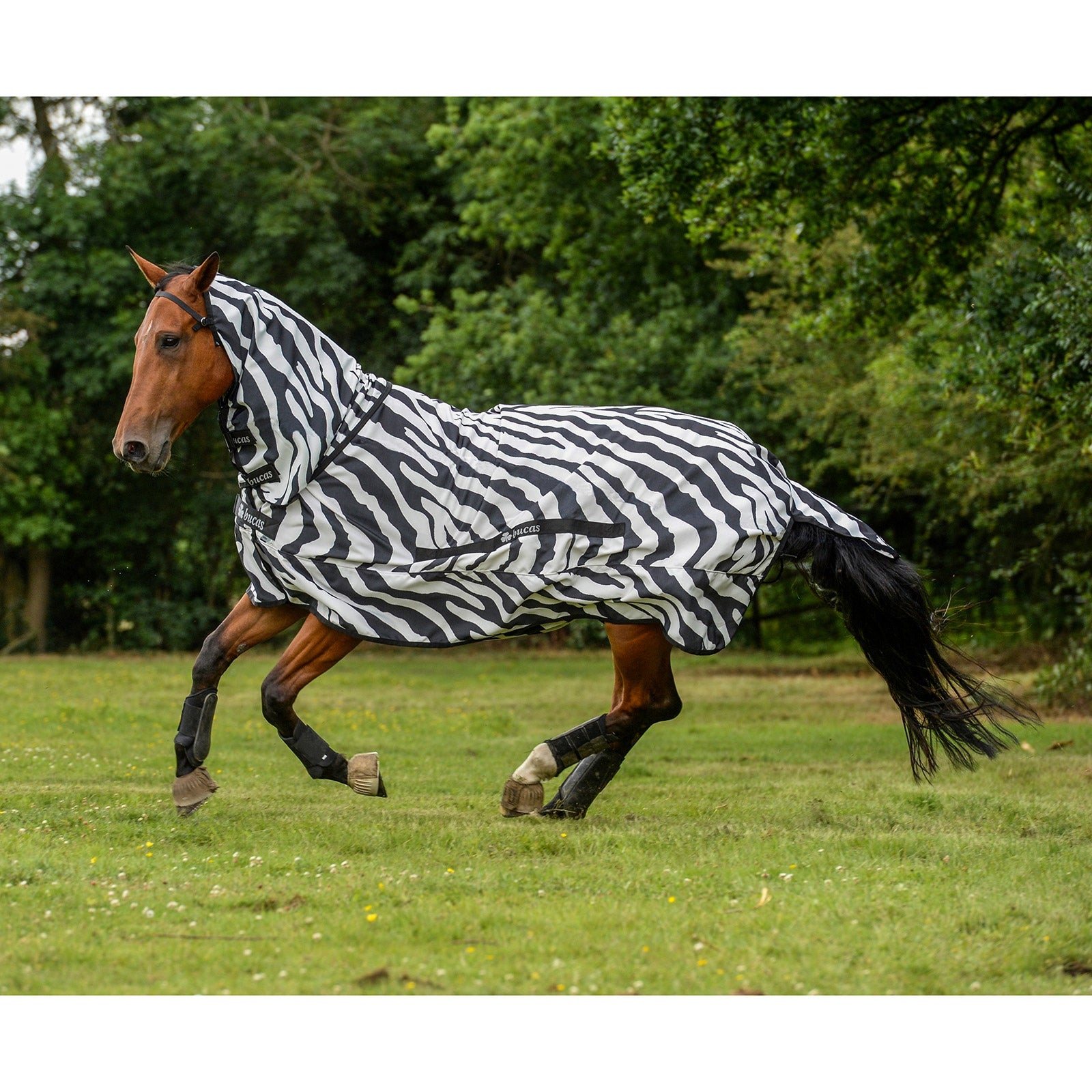 Lifestyle shot 2