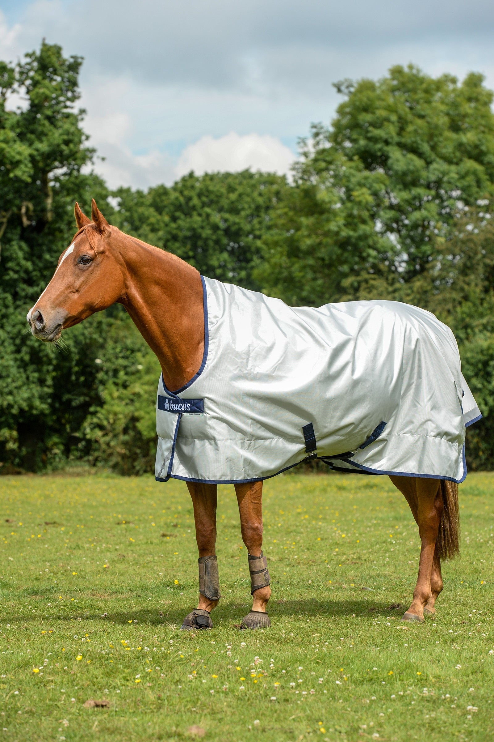 Bucas Power Turnout Extra High Neck, 300g Horse Rugs