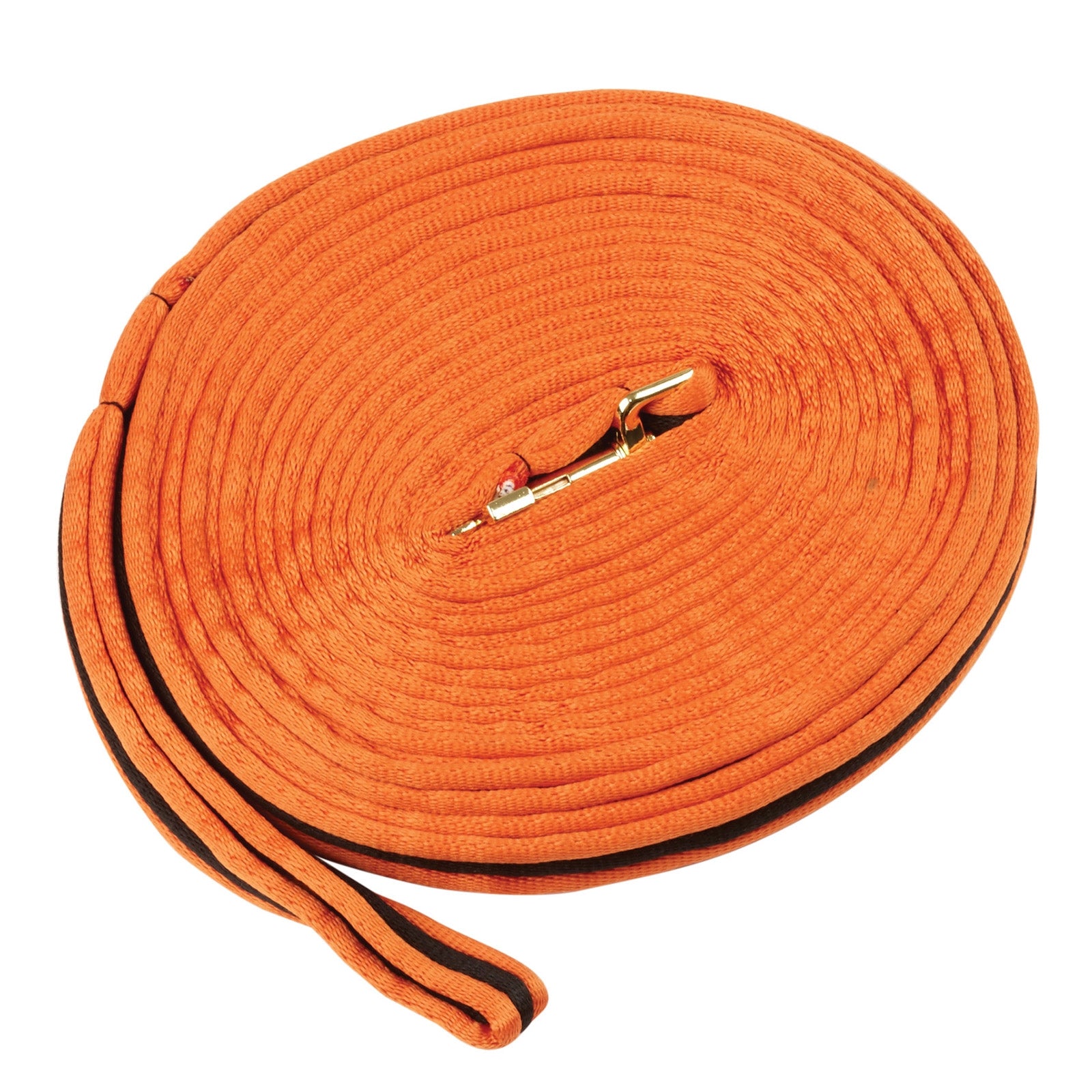 Kincade Brights Two Tone Padded Lunging rein 8m Horse Training