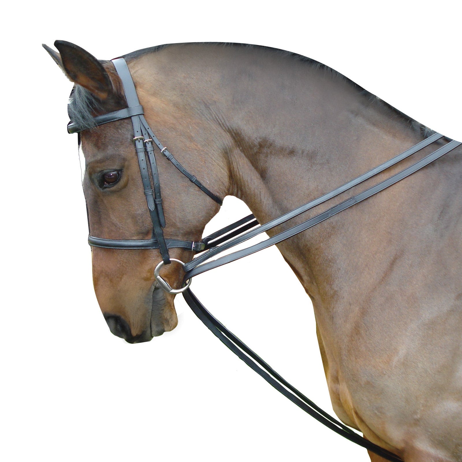 Kincade leather Draw Reins set Bridles & Reins