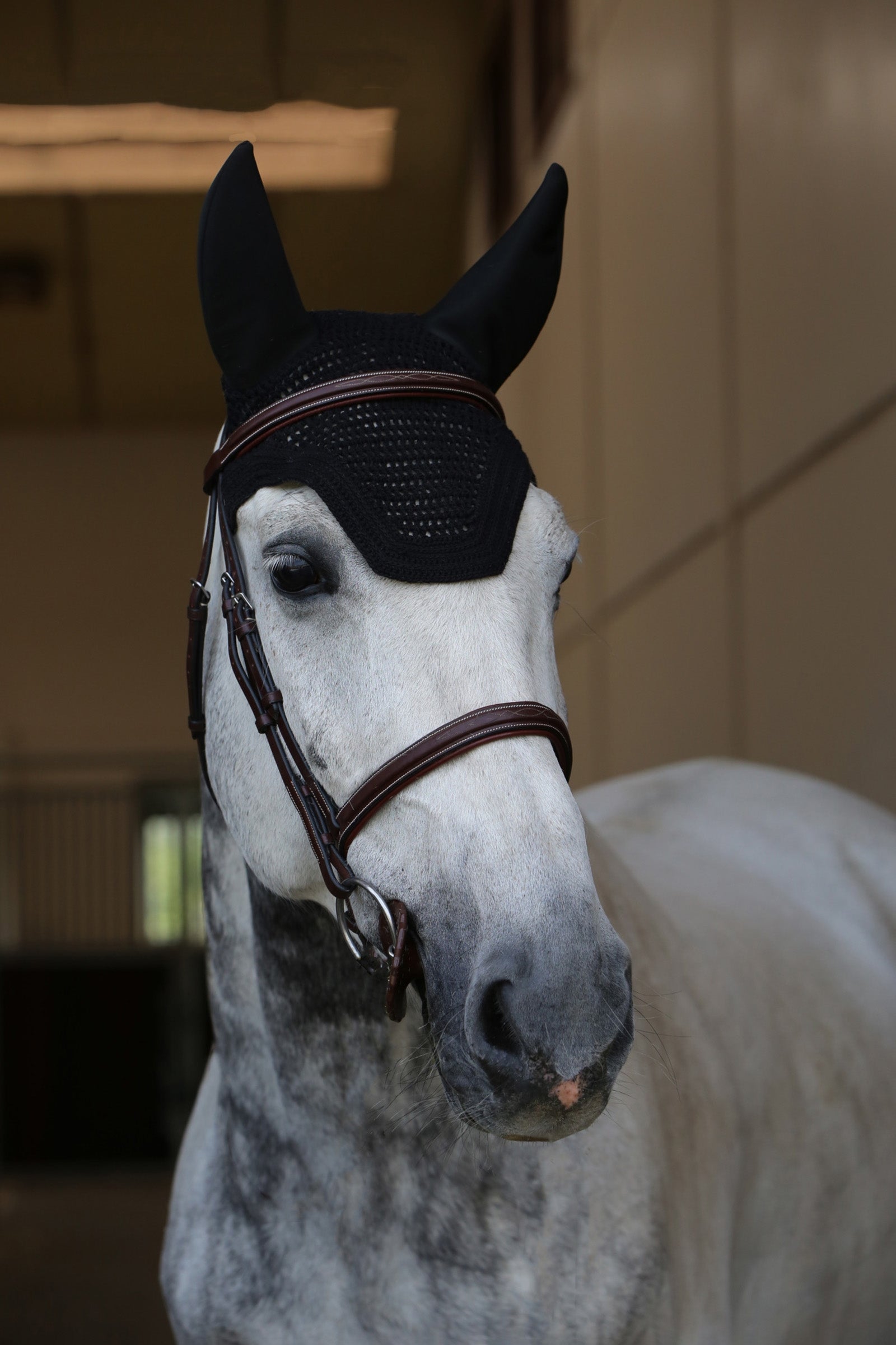 Kentucky Horsewear Fly Veil Wellington Soundless Saddle Pads