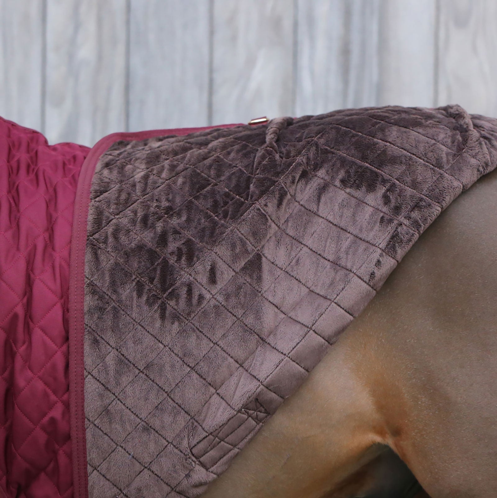 Kentucky Horsewear Show Rug, 160g Horse Rugs