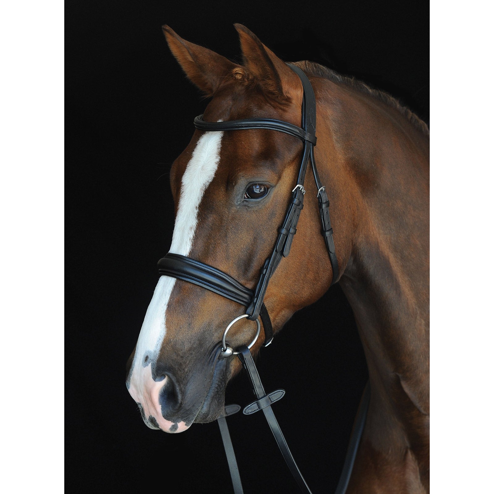 Collegiate Mono Crown Padded Raised Cavesson Bridle Bridles & Reins
