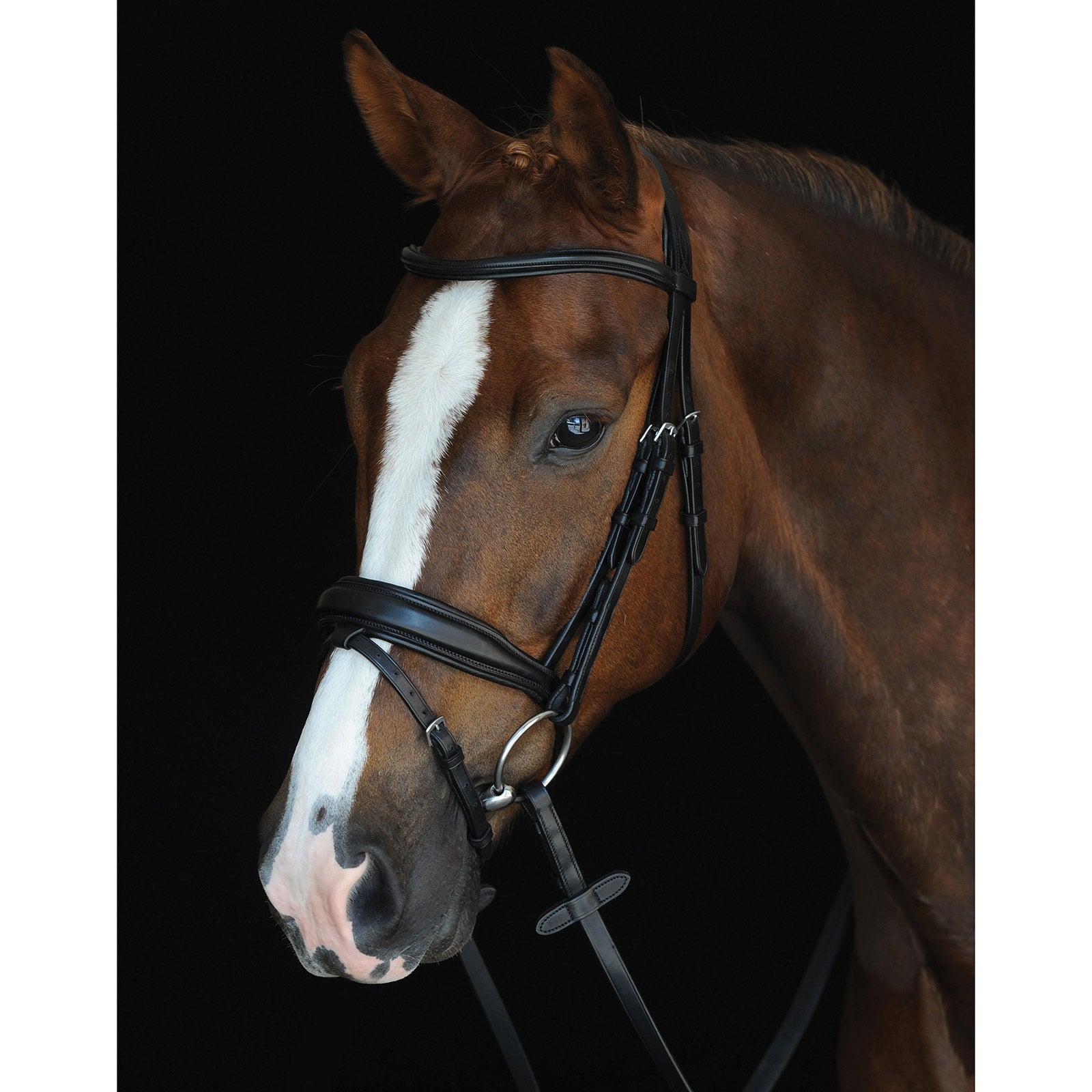 Collegiate Mono Crown Padded Raised Flash Bridle Bridles & Reins