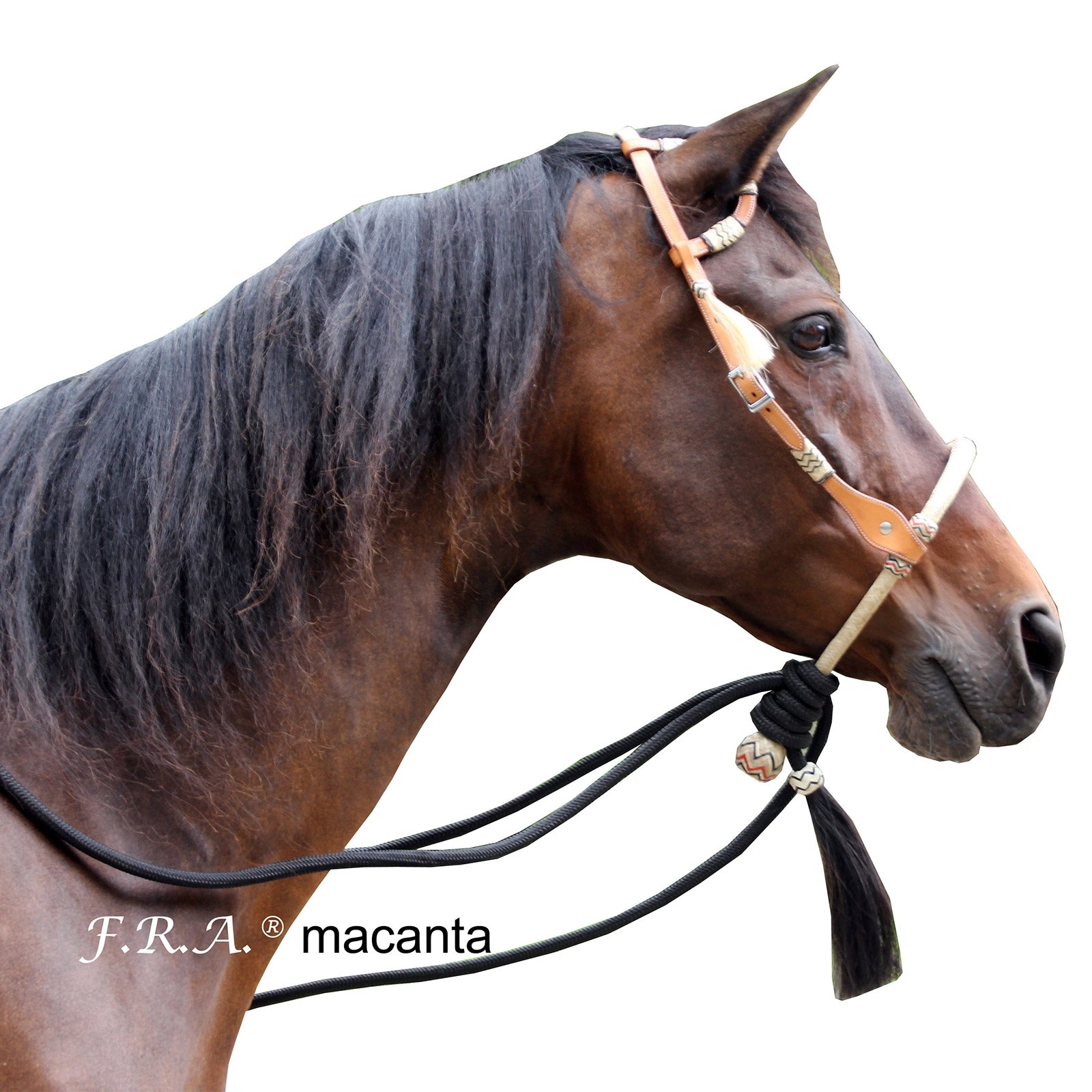 F.R.A. Freedom Riding Articles Macanta Complete Bosal Bridle (System 2) Bridles & Reins