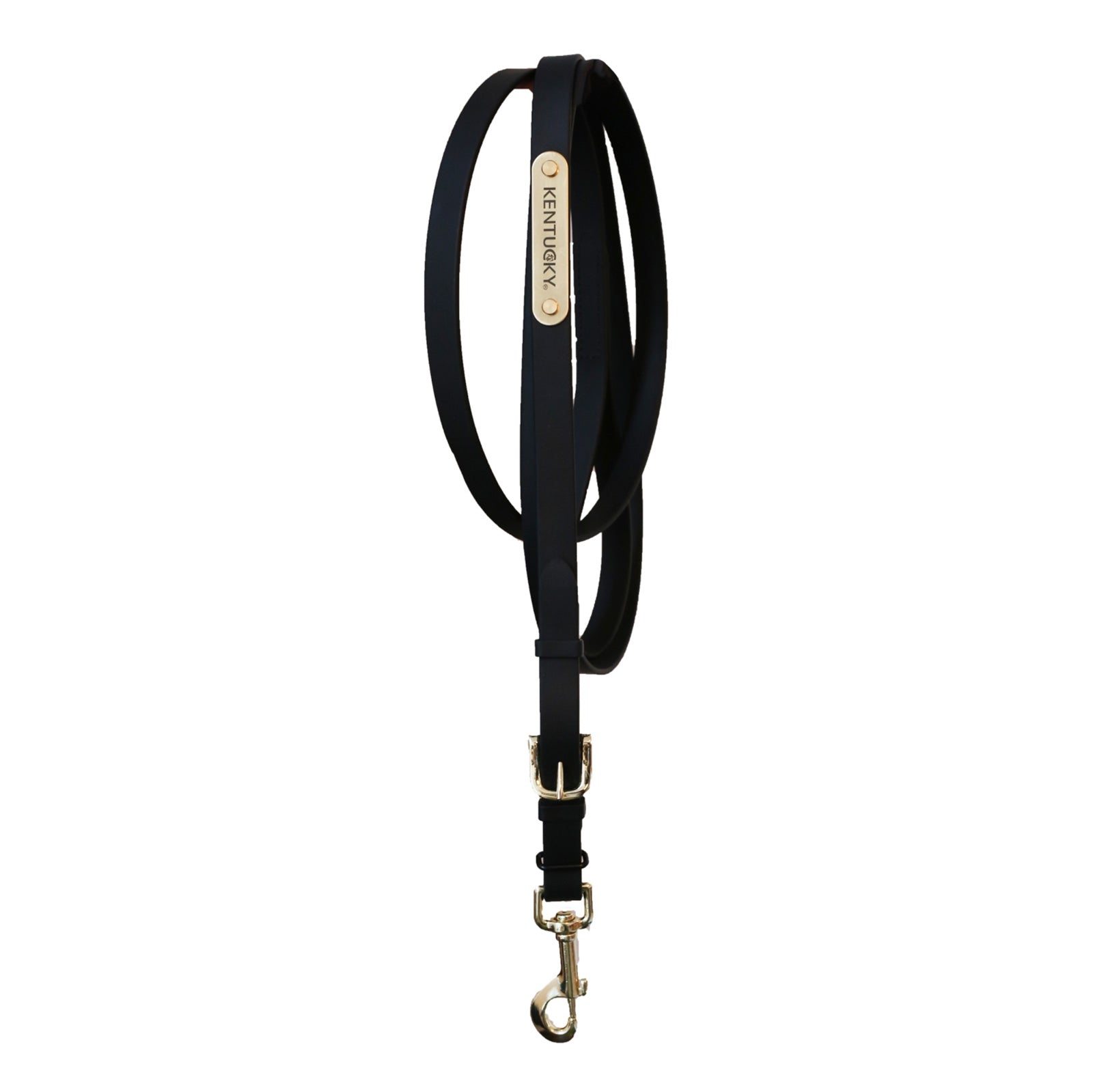 Kentucky Horsewear Presentation Lead Halters & Leads