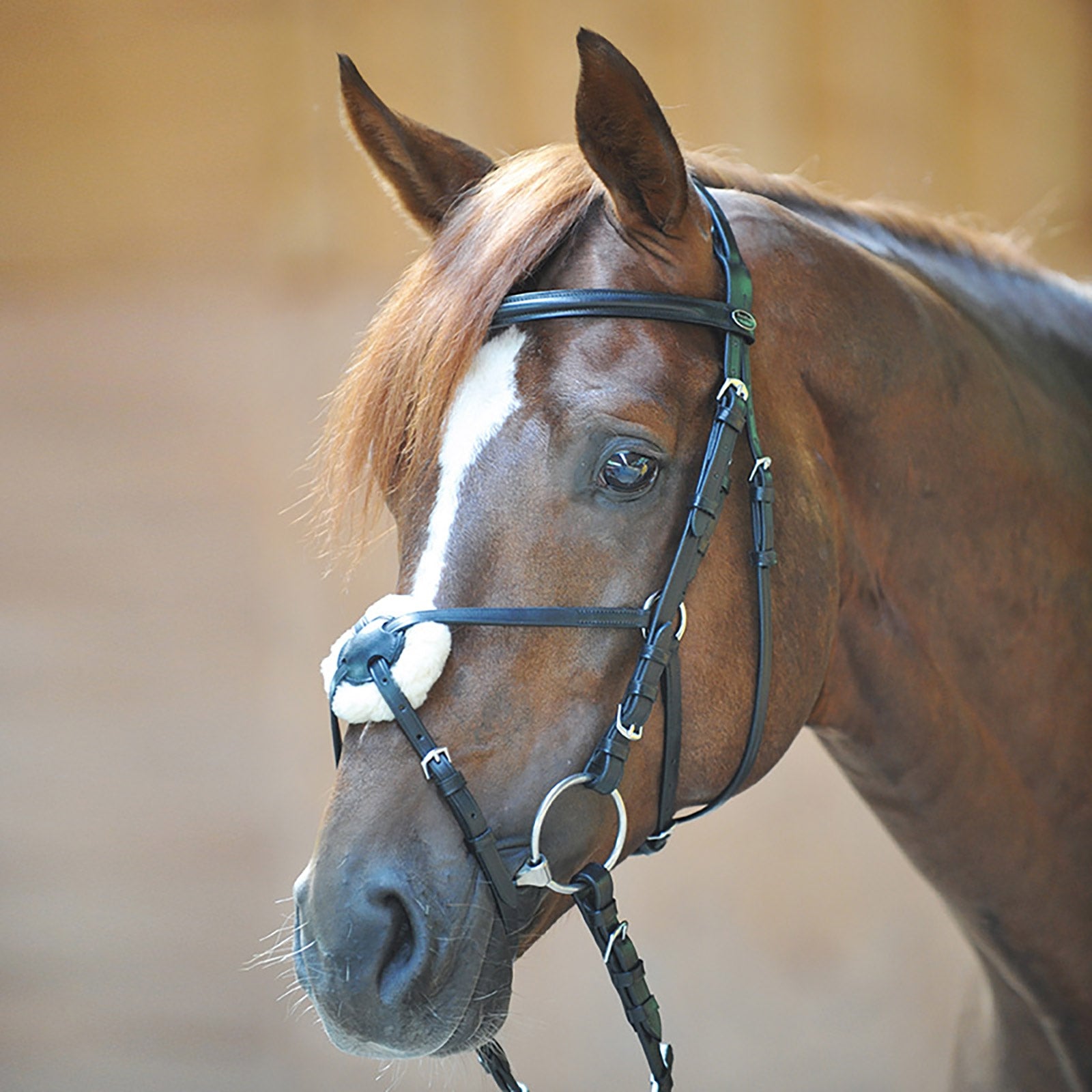 Kavalkade Carlos Mexican Bridle Bridles & Reins