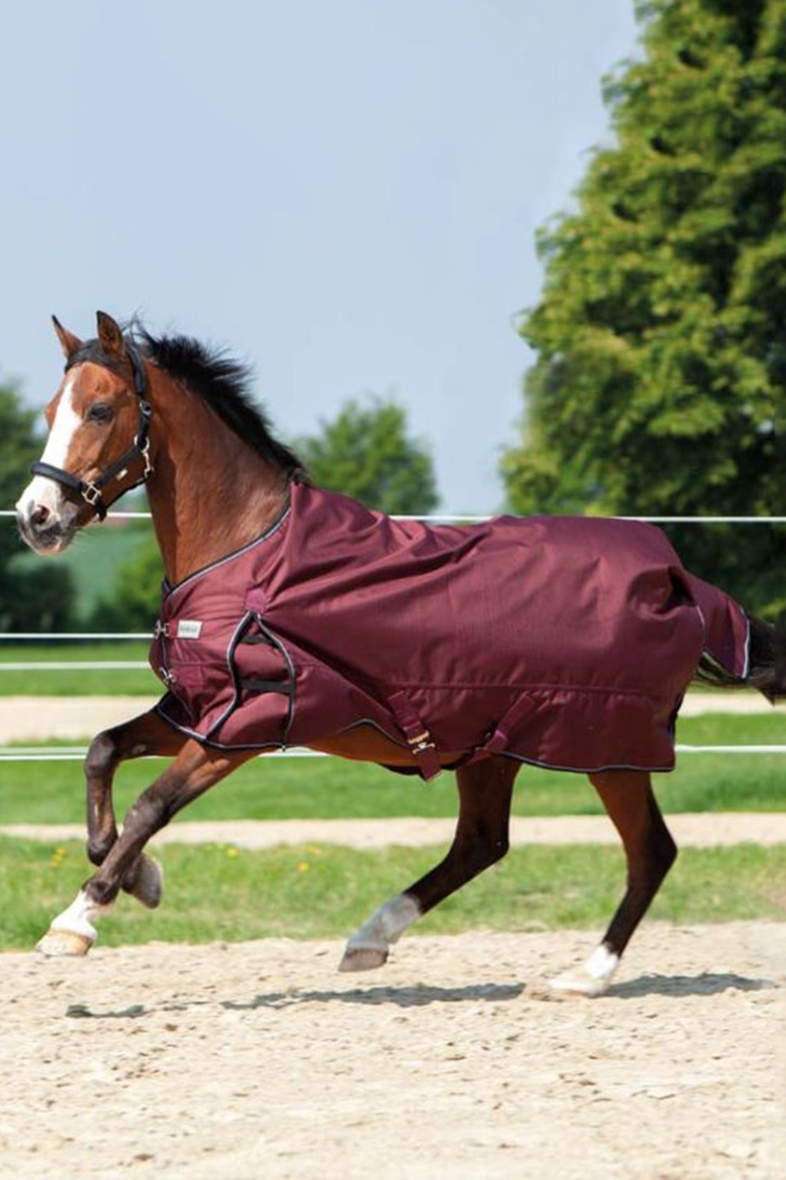 Kavalkade Alaska IV Turnout Rug, 100g Horse Rugs
