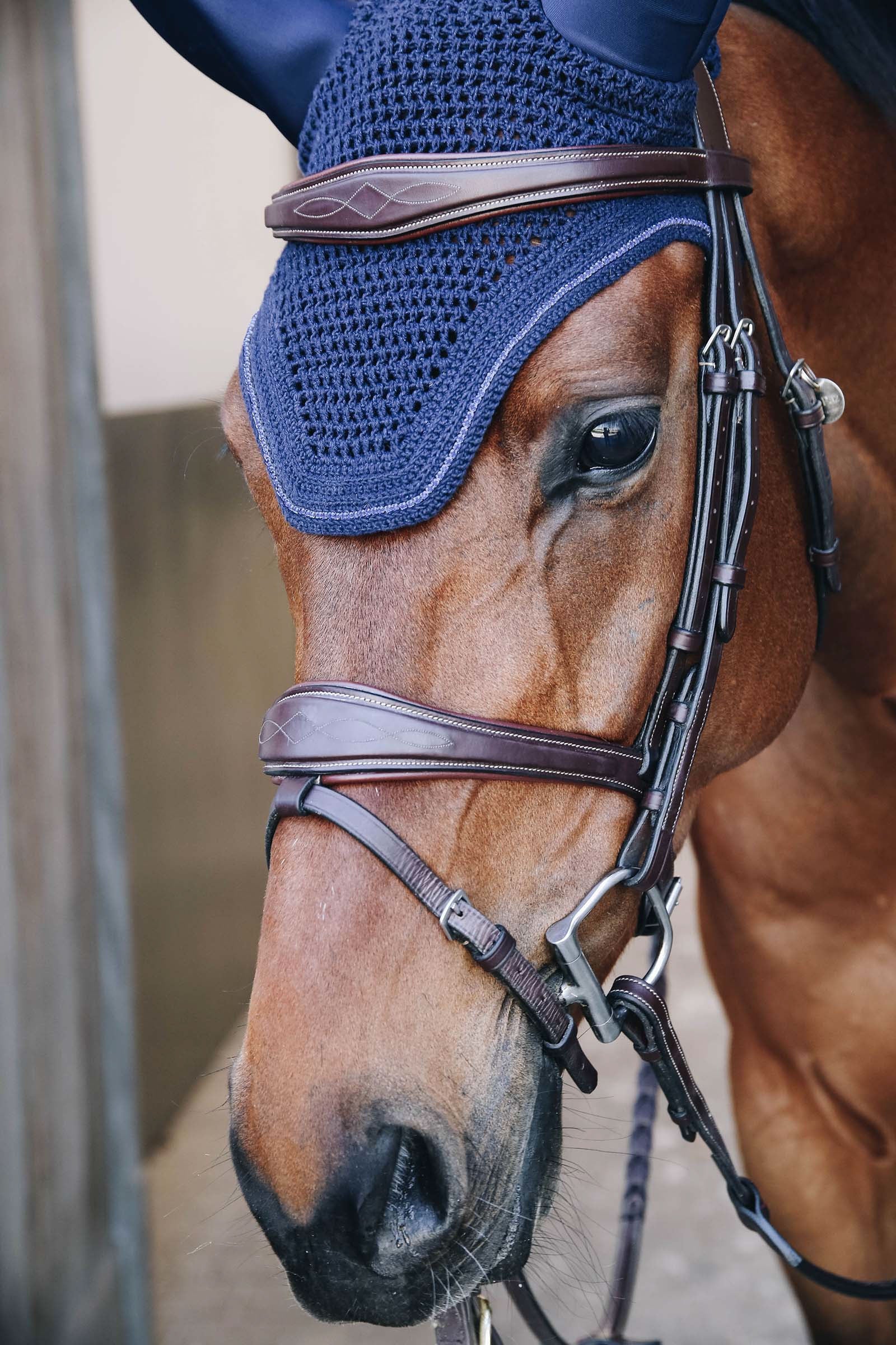 Kentucky Horsewear Wellington Sparkling Fly Veil Saddle Pads