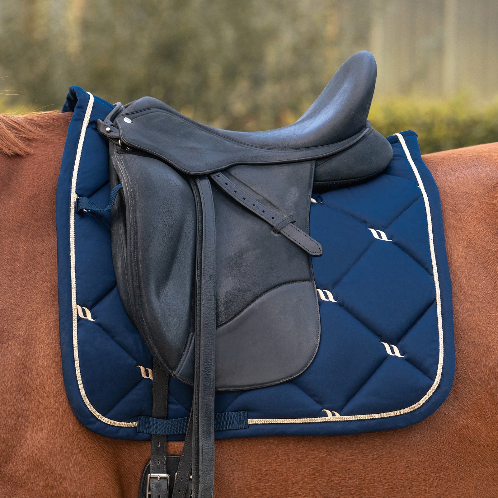 Back on Track Night Collection Dressage Saddle Pad Saddle Pads