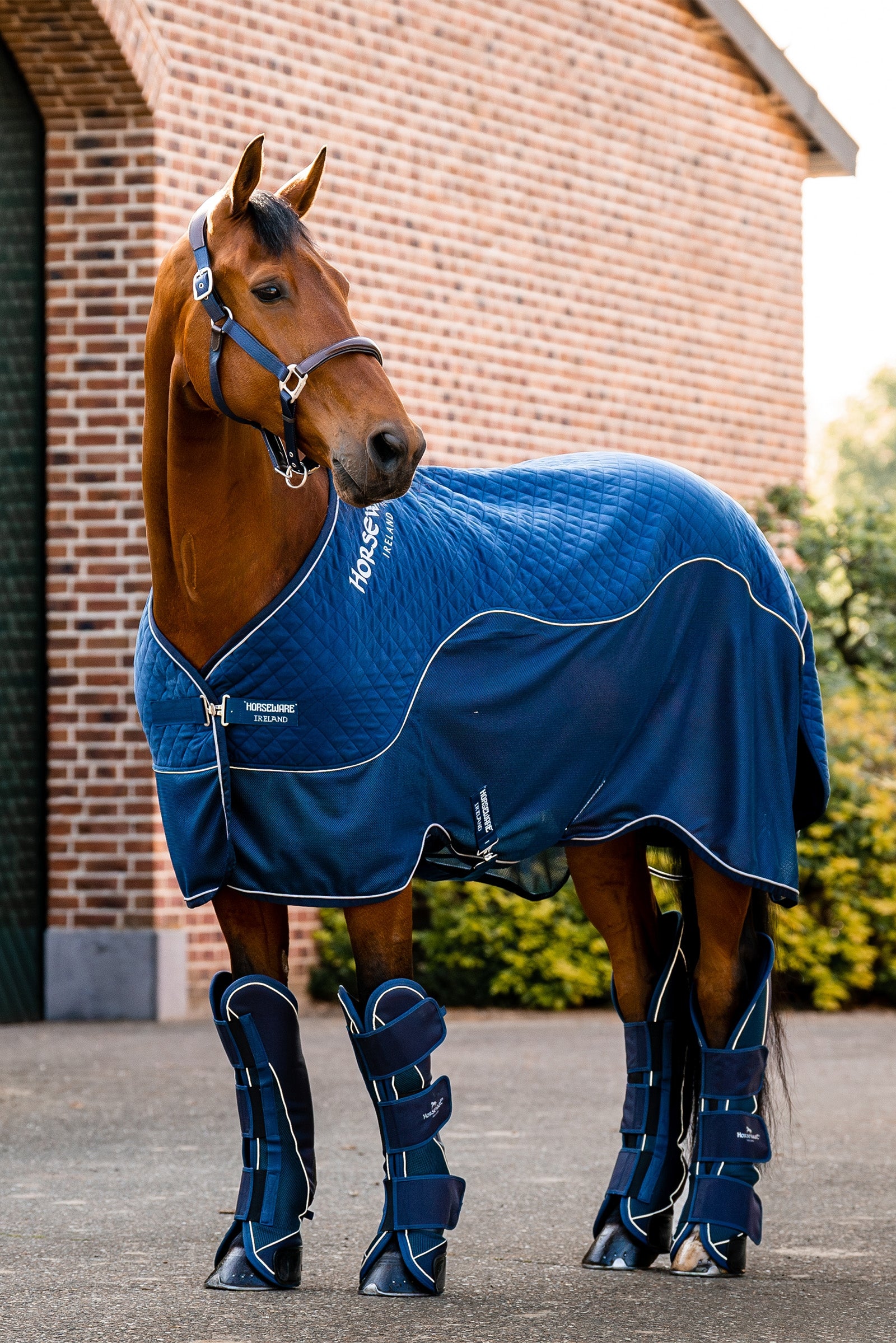 Horseware Signature Travel Boots Leg & Hoof Protection