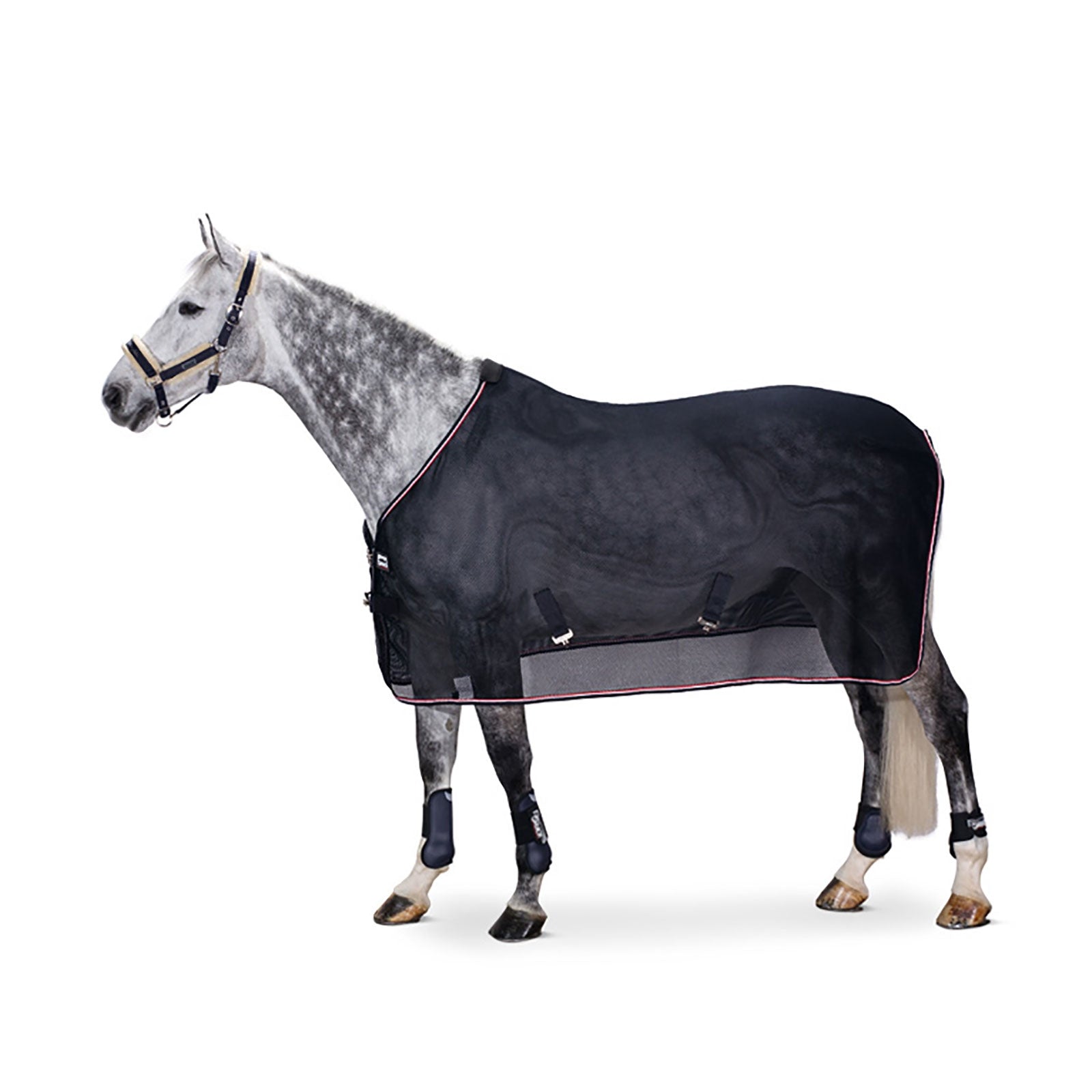 Eskadron Mesh Dura Fly Rug Horse Rugs