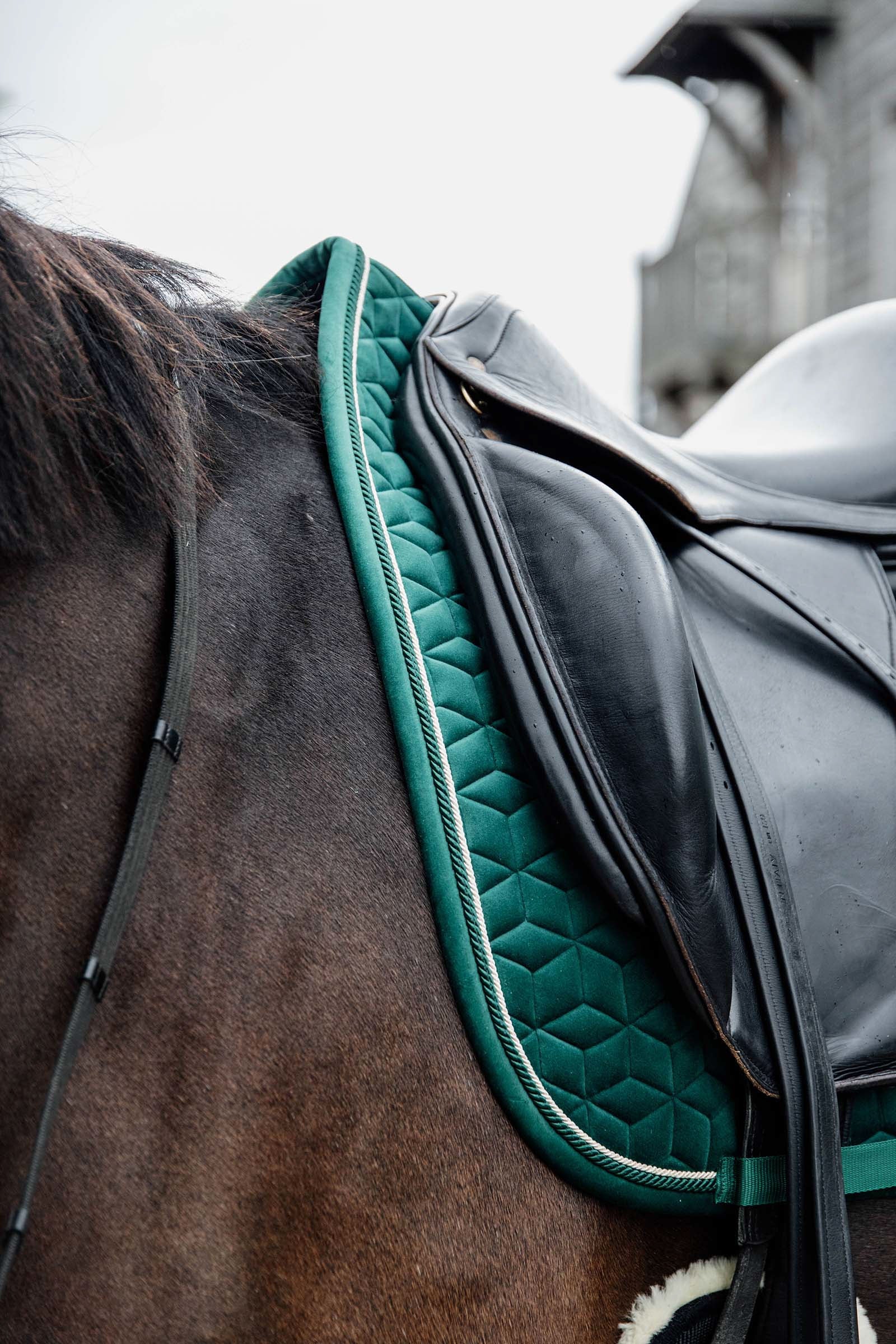 Kentucky Horsewear Velvet Dressage Saddle Pad Saddle Pads