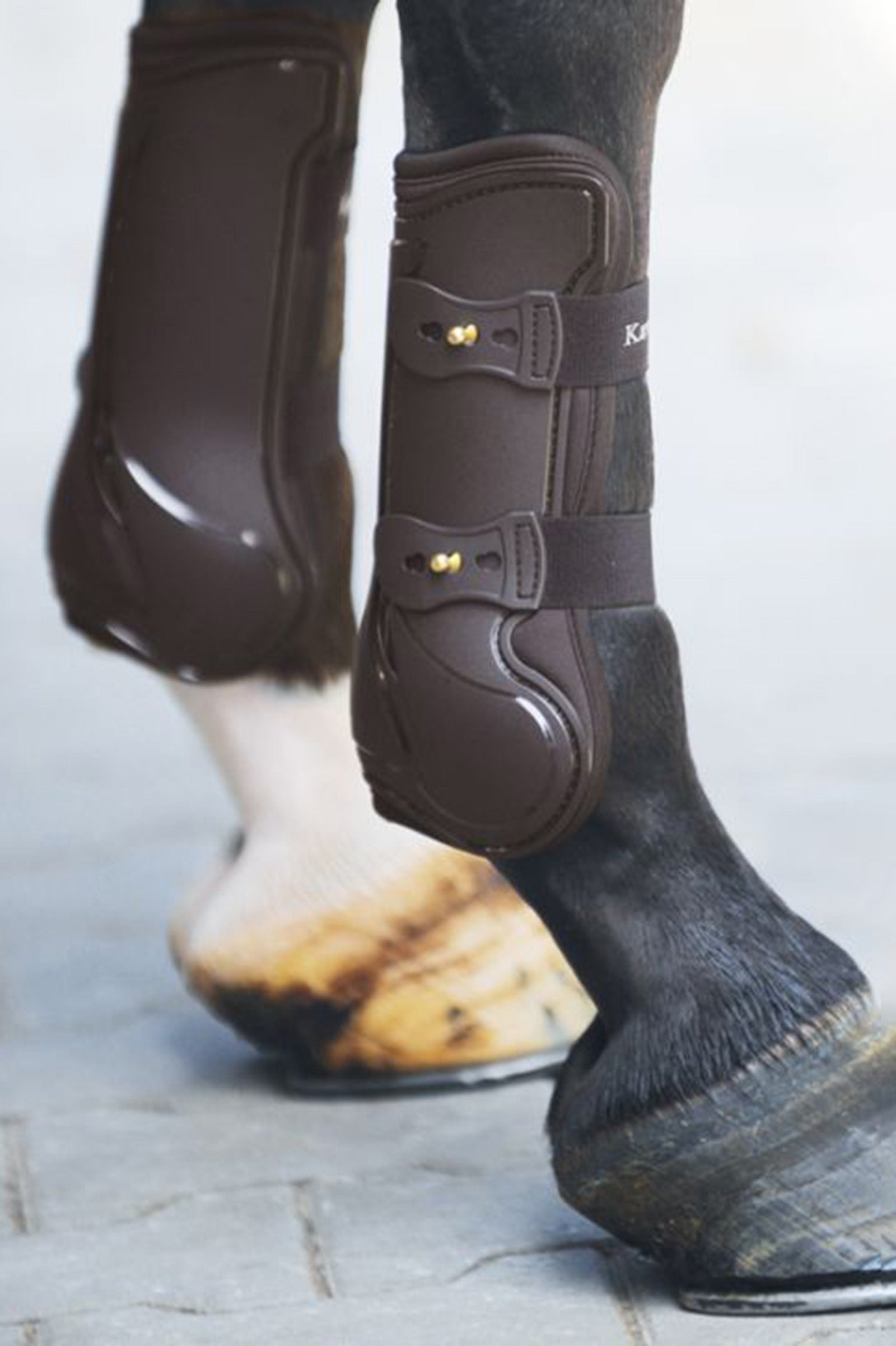 Kavalkade Tendon Boots Compete Leg Protection & Hoof Protection for Horses