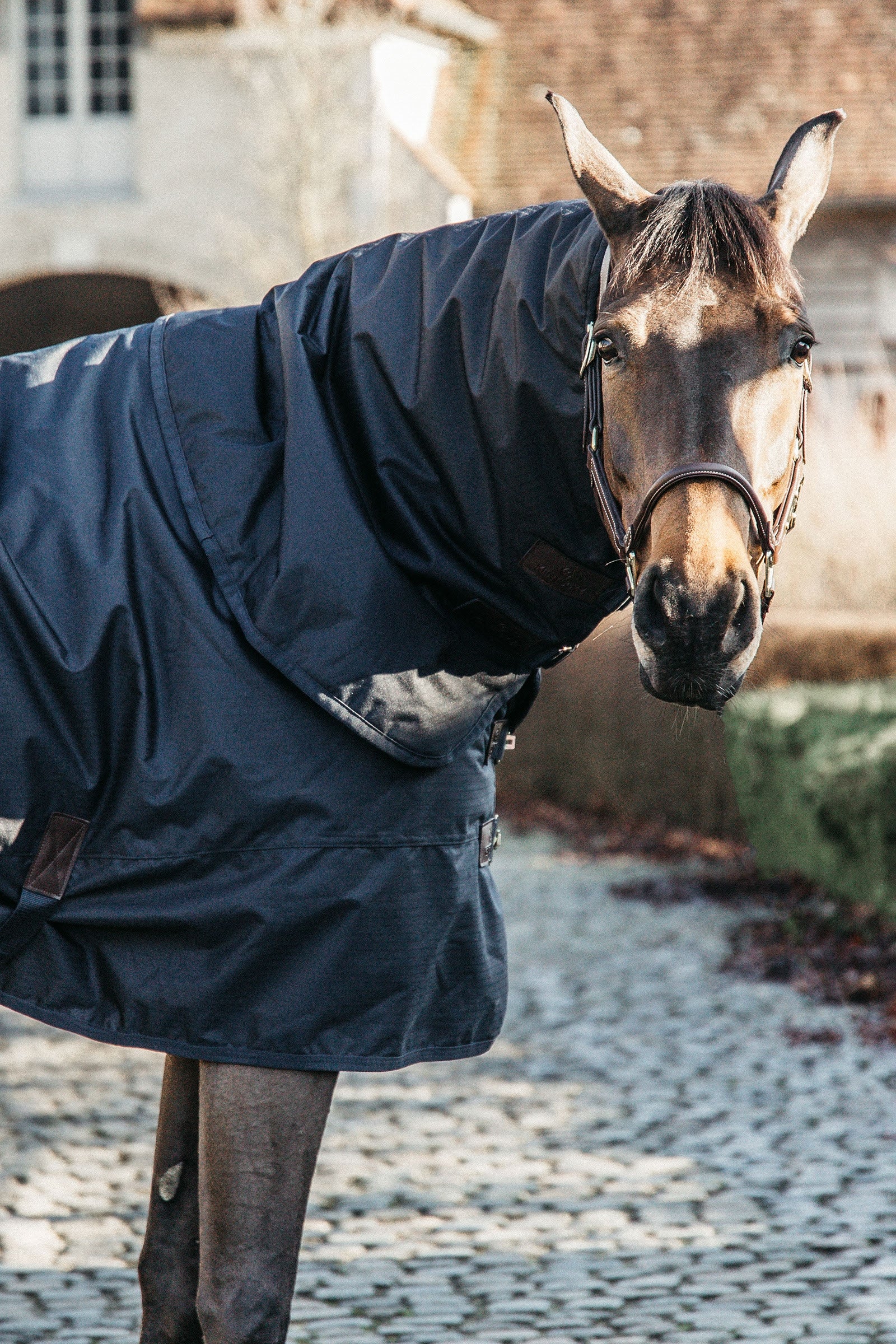 Kentucky Horsewear Turnout Rug All Weather Waterproof Classic, 150g Horse Rugs