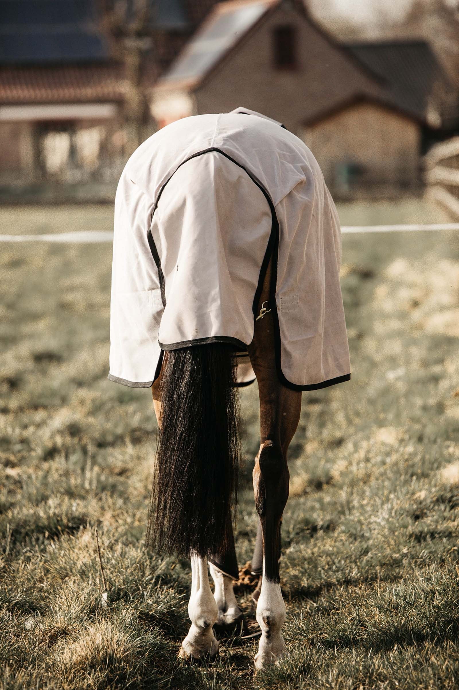 Kentucky Horsewear Mesh Fly Rug Horse Rugs