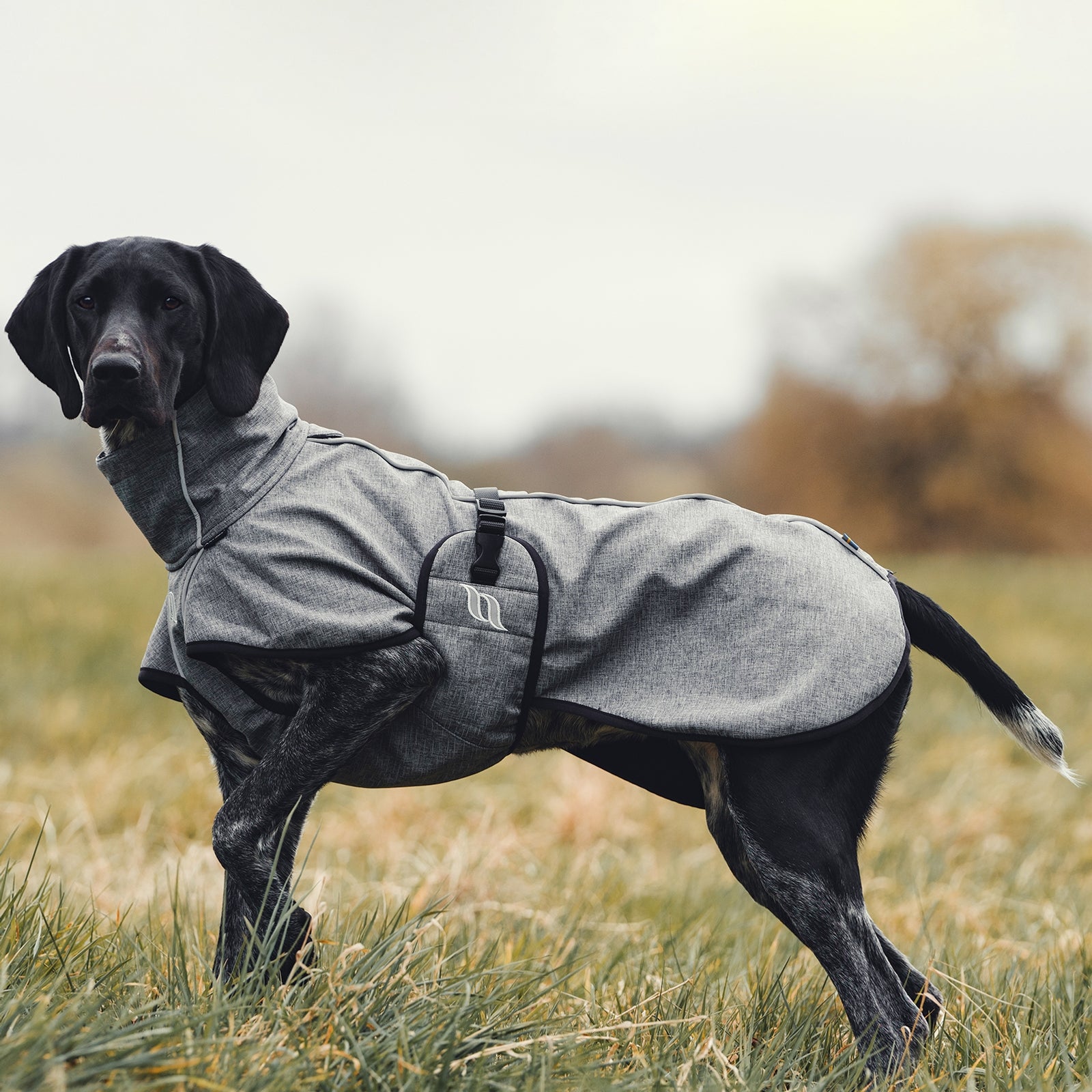 Back on Track Bark All-Round Dog Coat, 85-90cm Dog Accesories