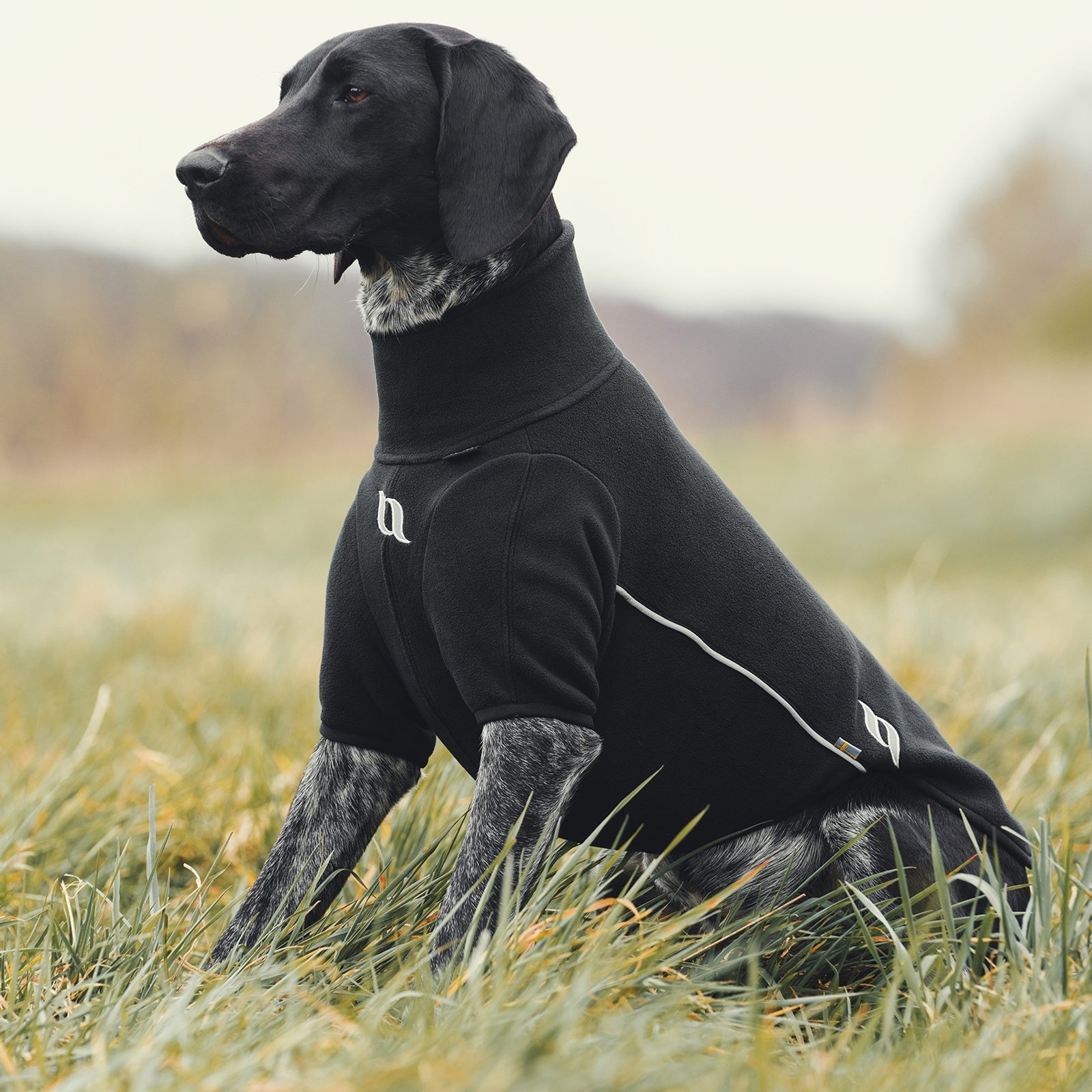 Back on Track Cassie All-Weather Jumper, 55-60cm Dog Accesories