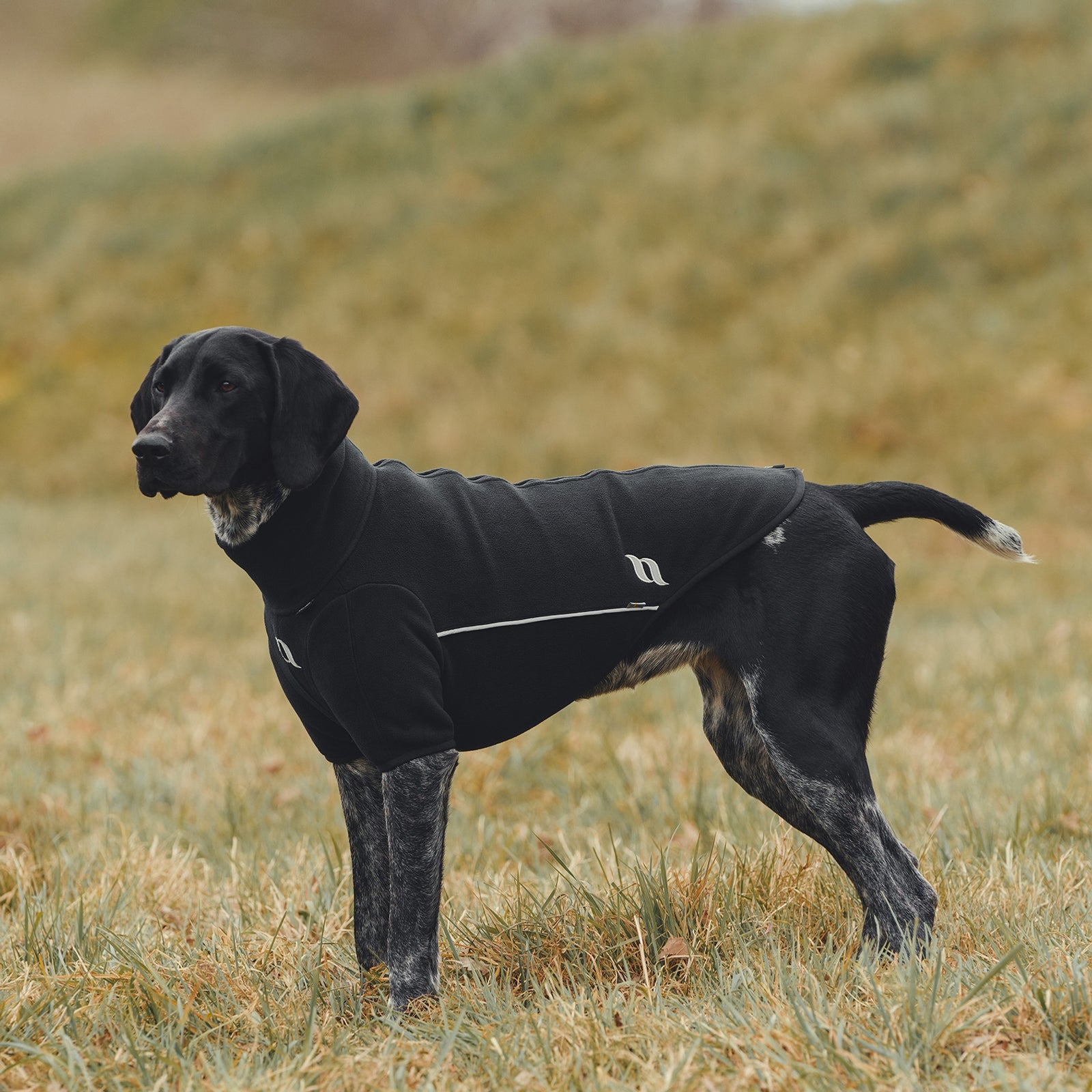 Back on Track Cassie All-Weather Jumper, 85-90cm Dog Accesories