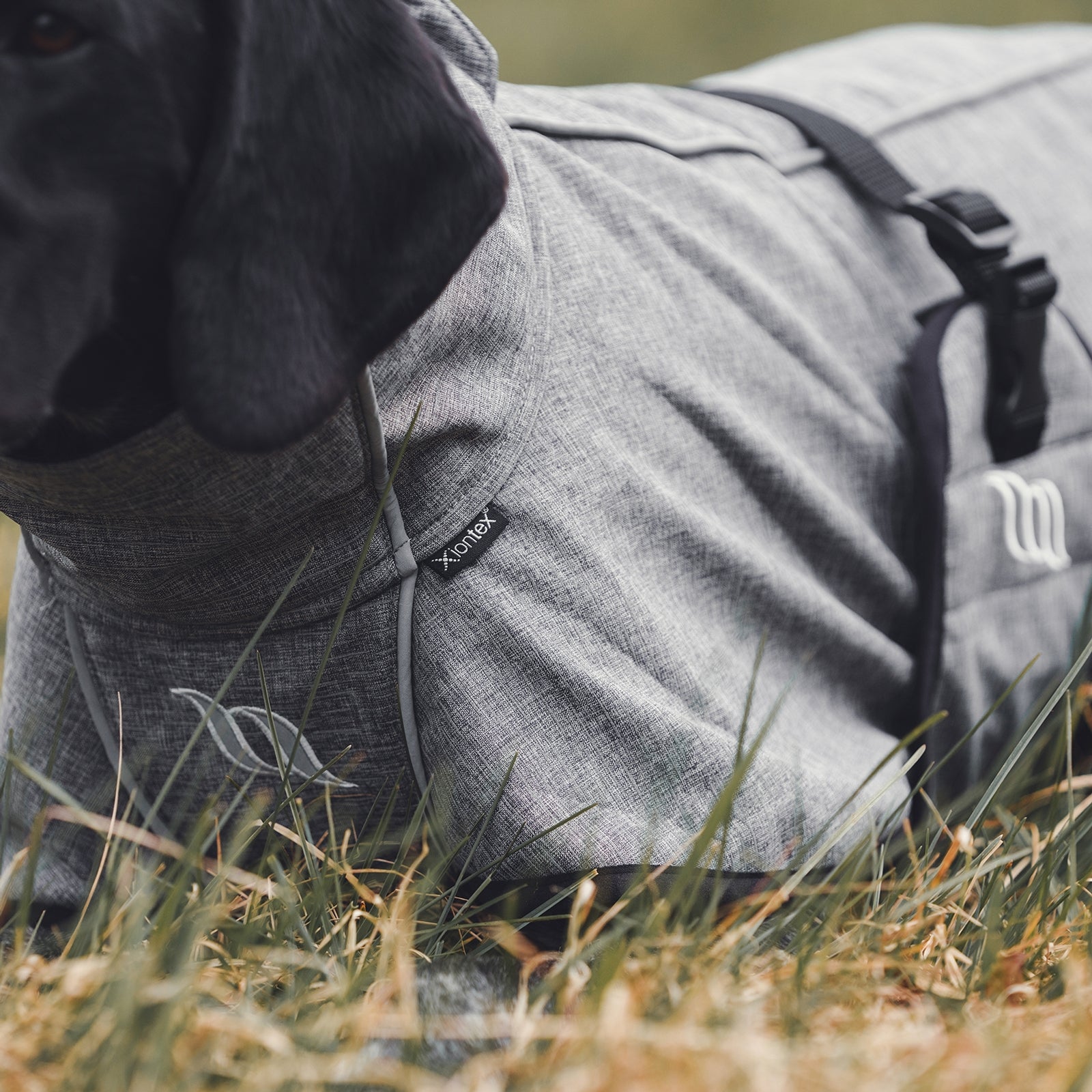 Back on Track Nella All-Round Dog Coat 55-65 cm Dog Accesories