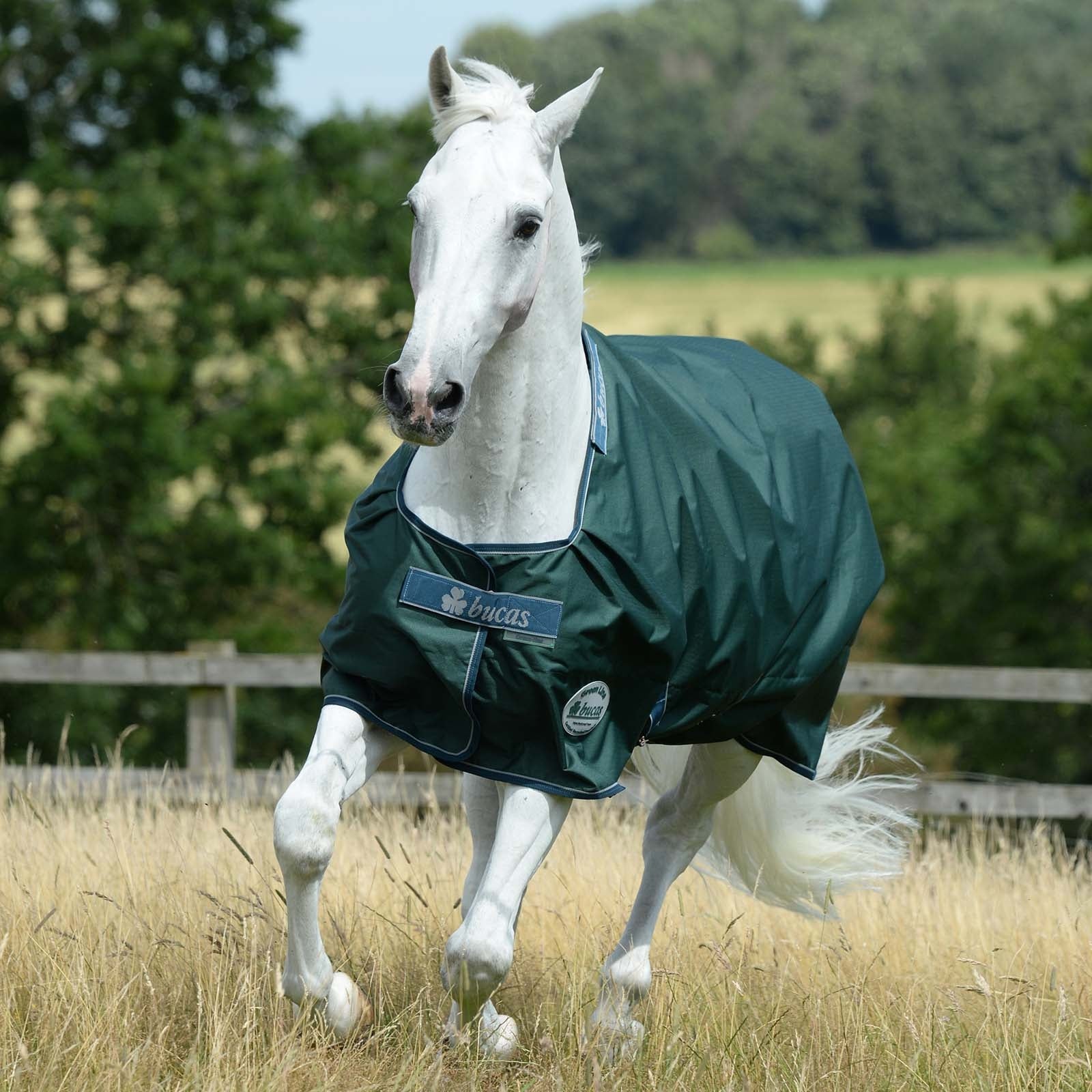 Bucas Green-Line Turnout 300g Horse Rugs