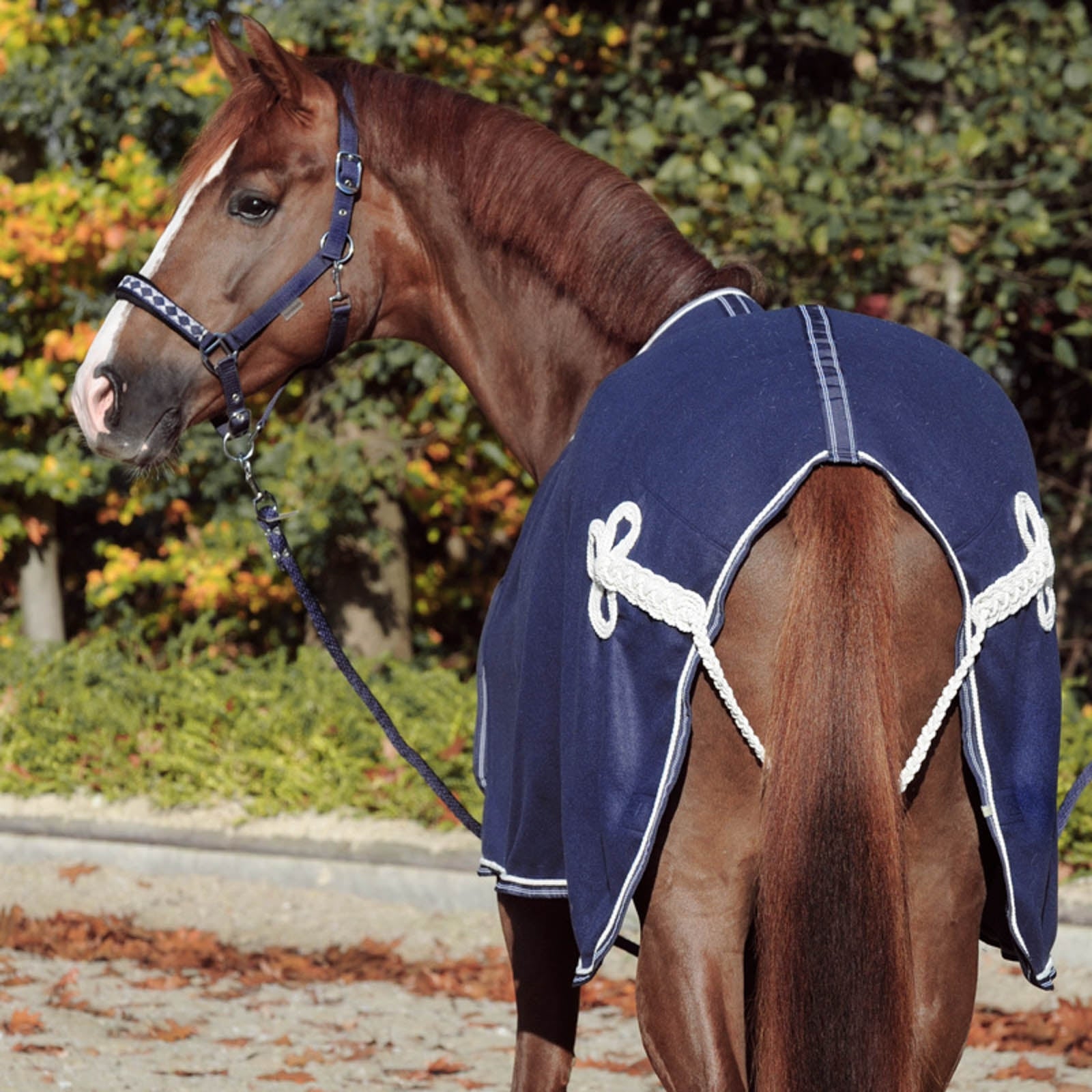 Kavalkade Cooler Rug With Chest Bib Horse Rugs