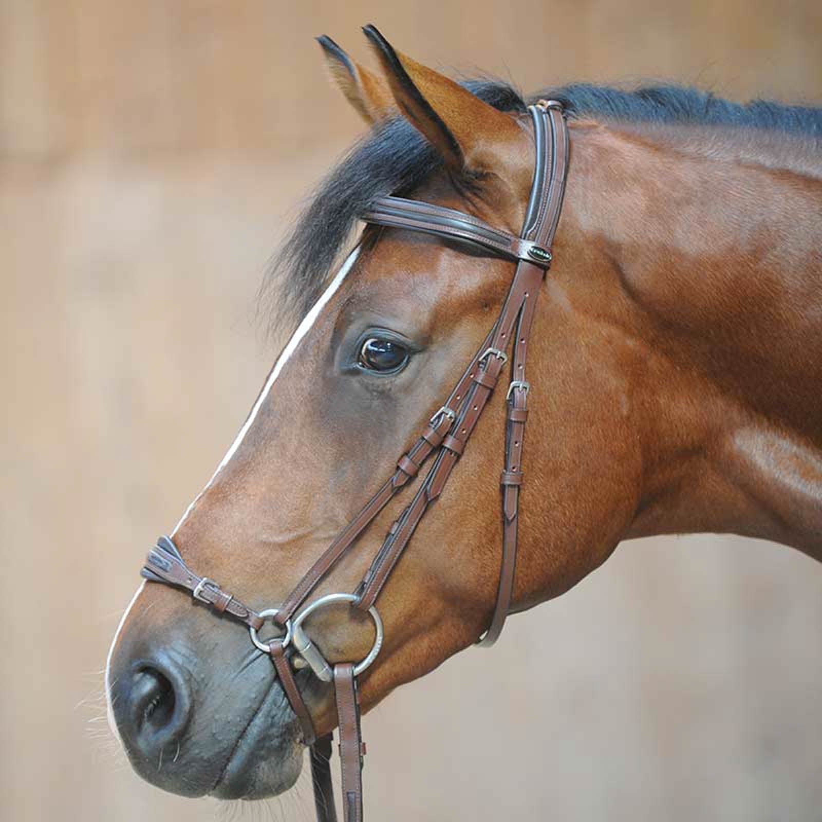 Kavalkade Levana Bridle Bridles & Reins
