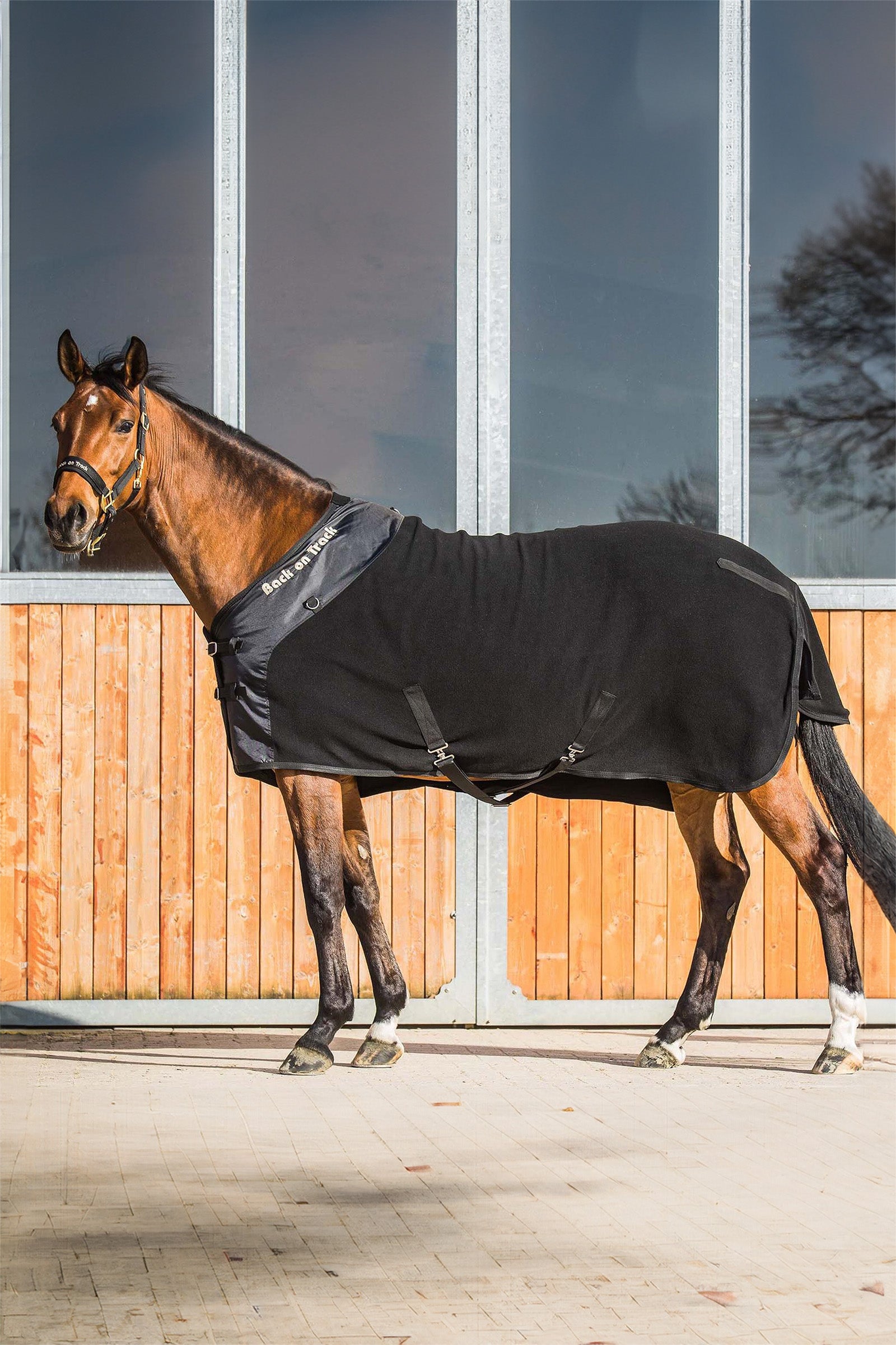 Back on Track Supreme Fleece Rug Horse Rugs