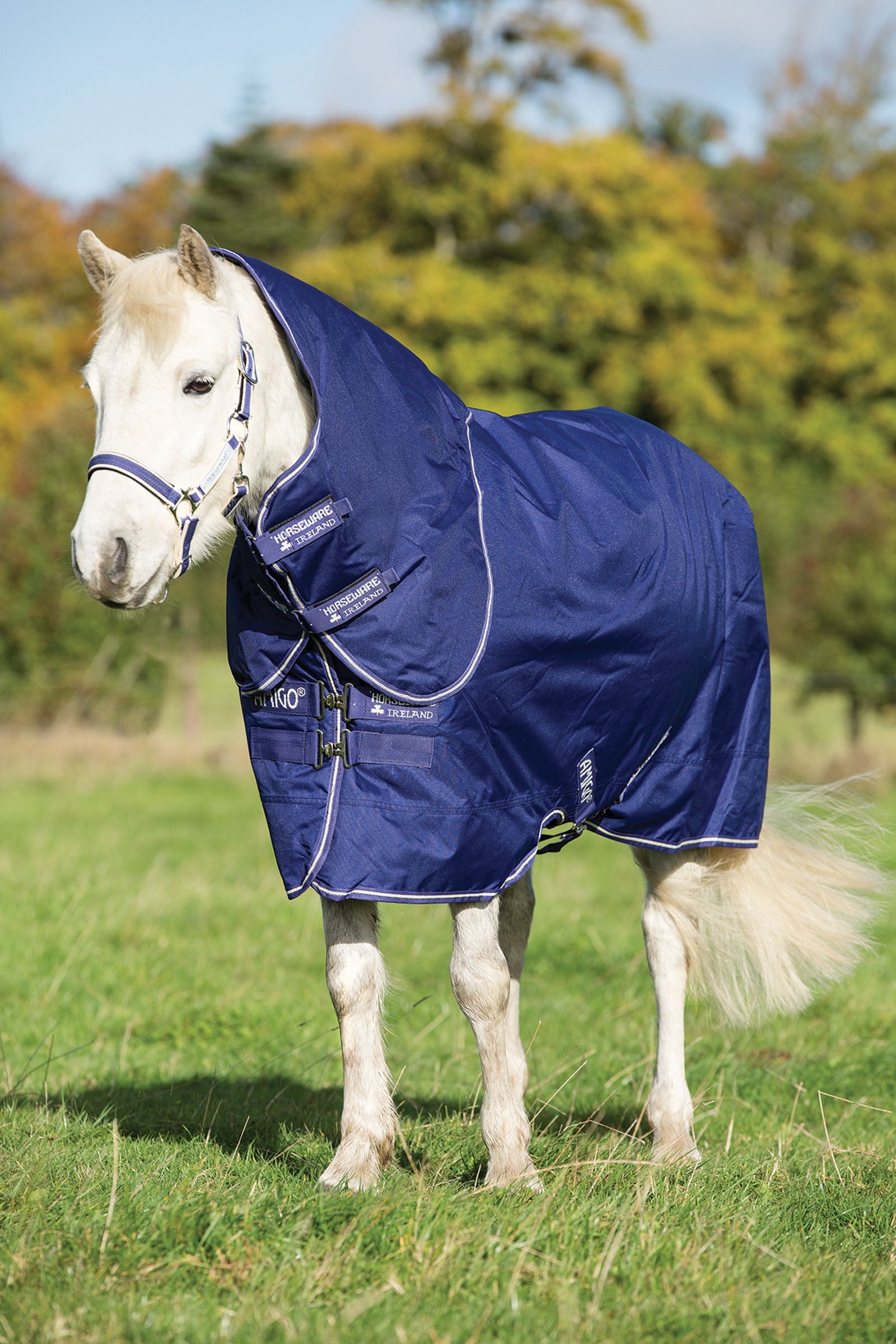 Horseware Amigo Hero 900 Plus Pony incl. Detachable Hood, 200g Horse Rugs